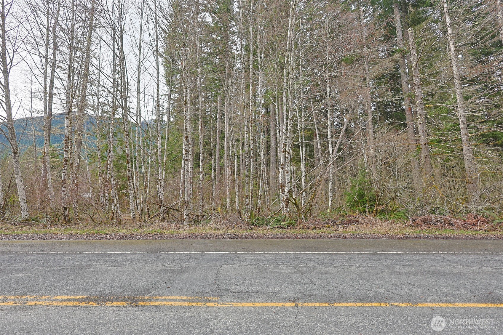 0 Skate Creek Road Property Photo 4