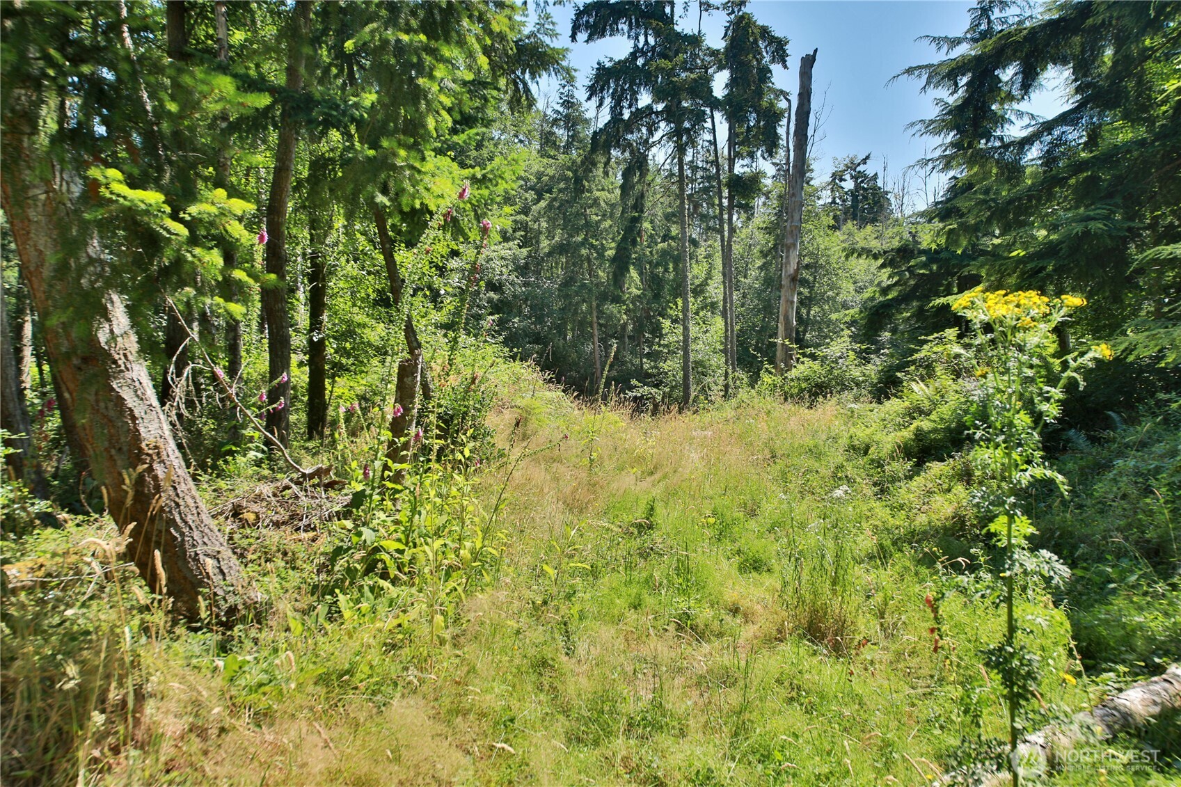 0 Lot 9 Evergreen Lane Property Photo 1