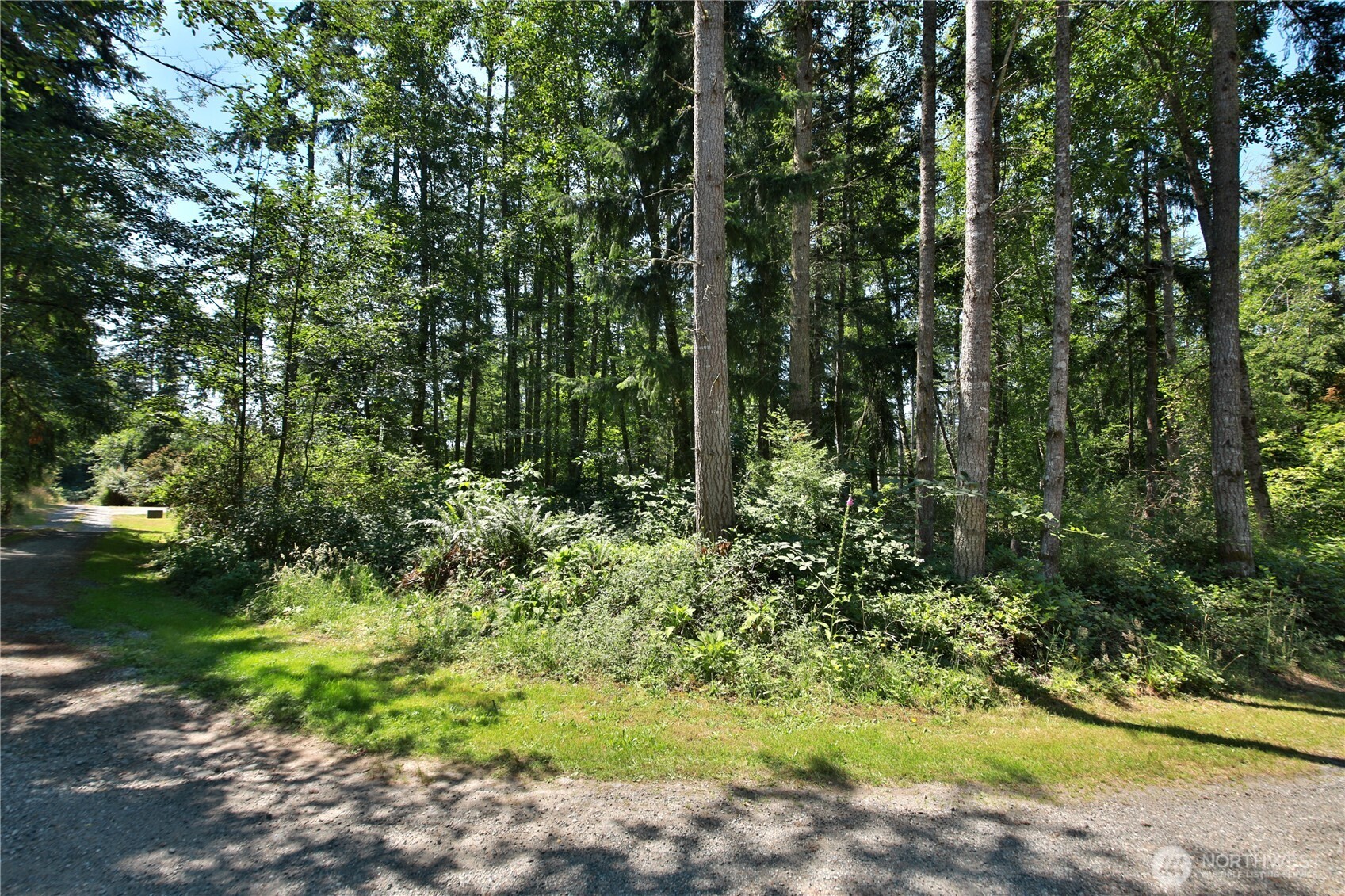 0 Lot 9 Evergreen Lane Property Photo 2