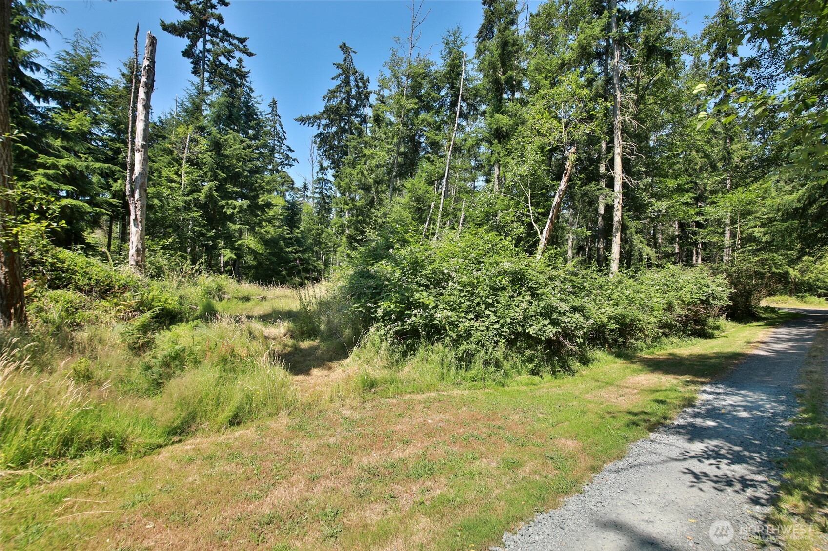 0 Lot 9 Evergreen Lane Property Photo 3