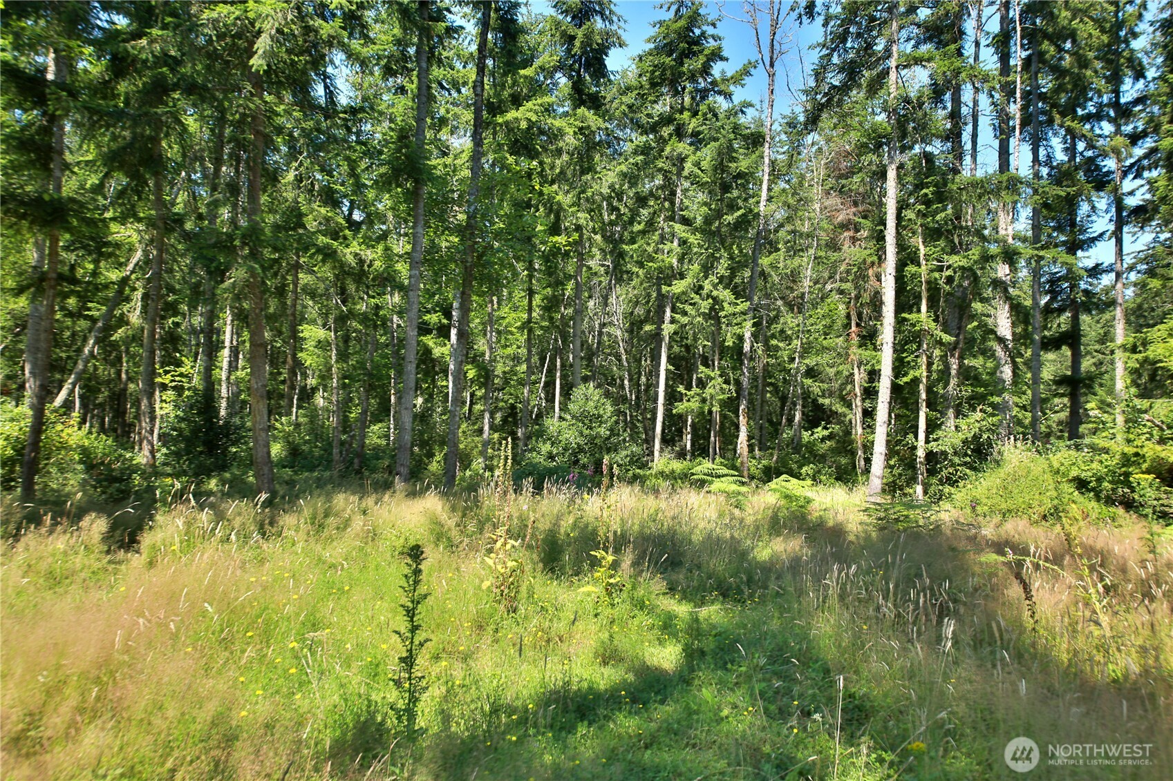 0 Lot 9 Evergreen Lane Property Photo 7