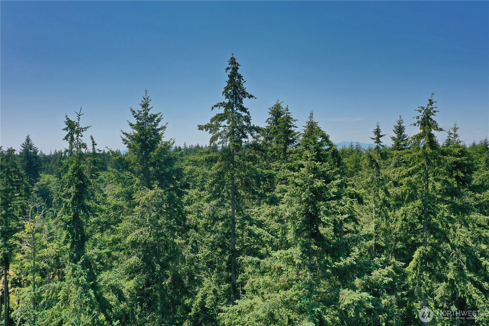 0 Lot 9 Evergreen Lane Property Photo 8