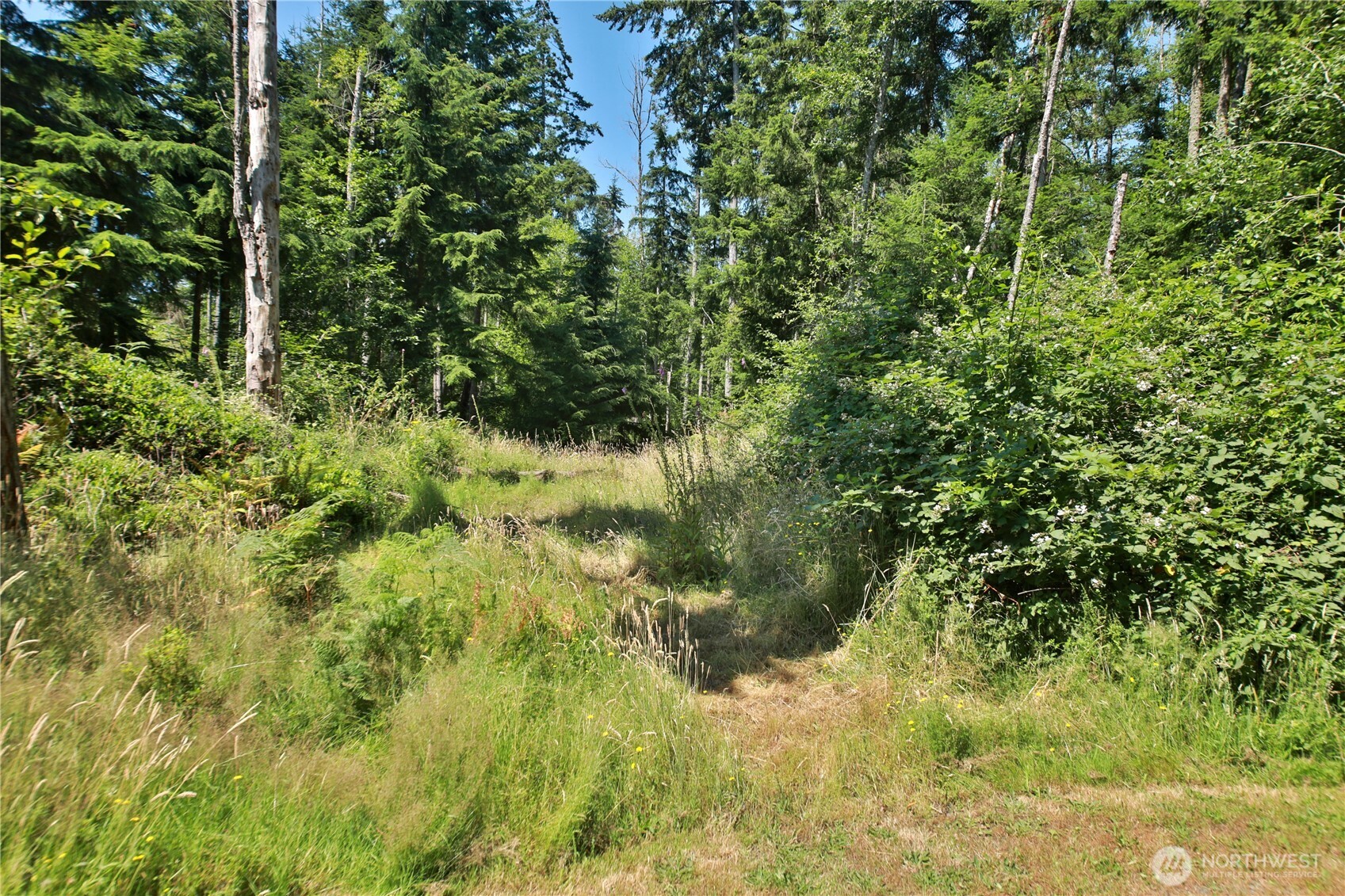 0 Lot 9 Evergreen Lane Property Photo 10