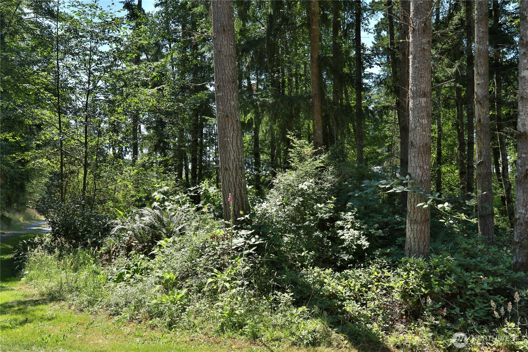 0 Lot 9 Evergreen Lane Property Photo 16