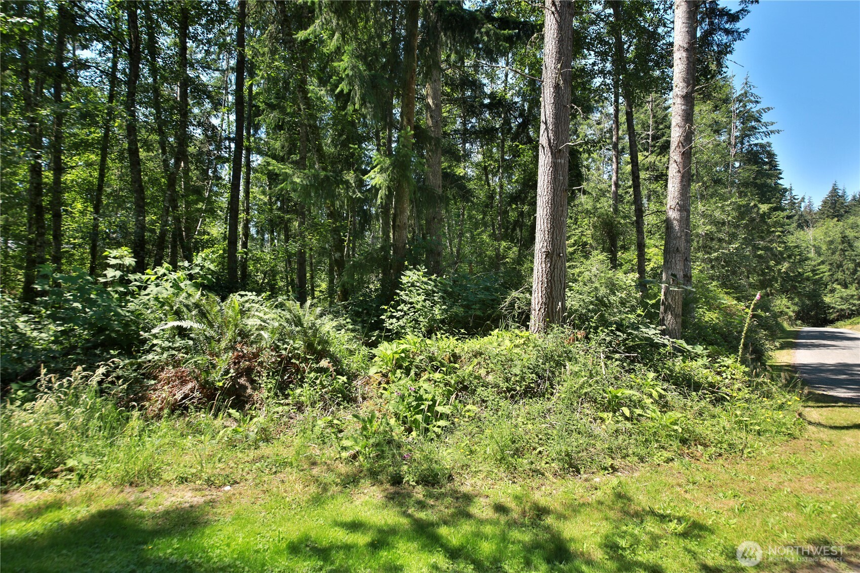 0 Lot 9 Evergreen Lane Property Photo 17