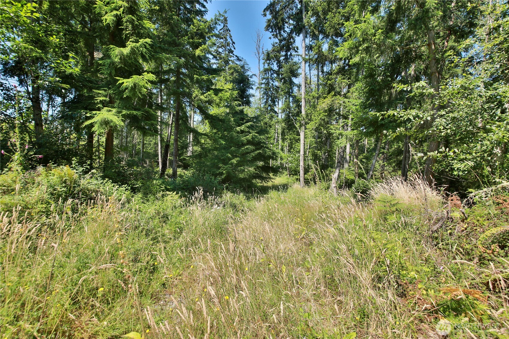 0 Lot 9 Evergreen Lane Property Photo 19