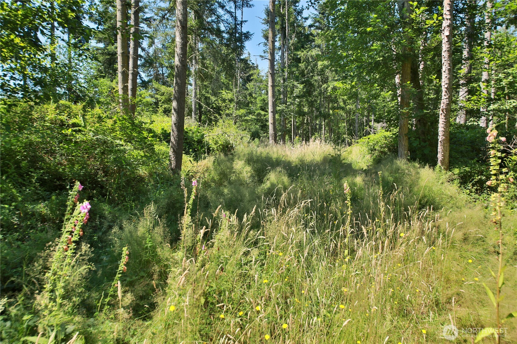 0 Lot 9 Evergreen Lane Property Photo 20