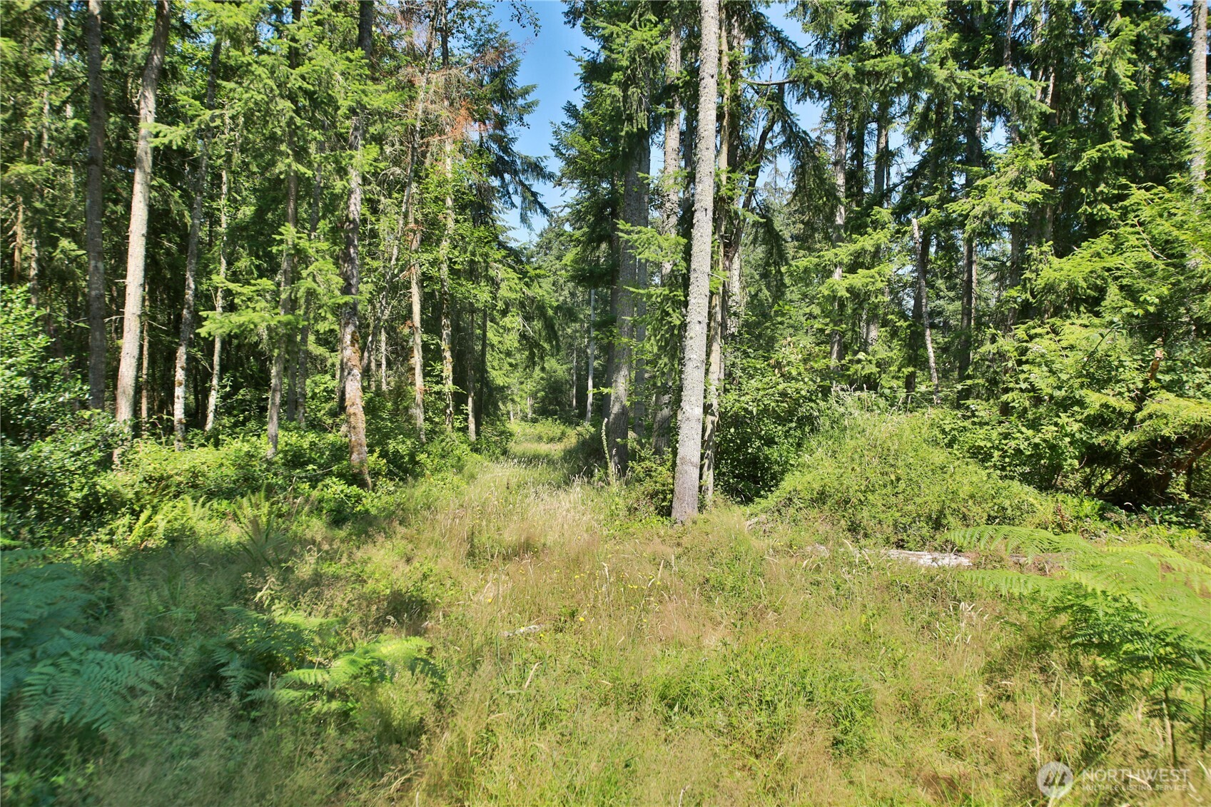 0 Lot 9 Evergreen Lane Property Photo 22