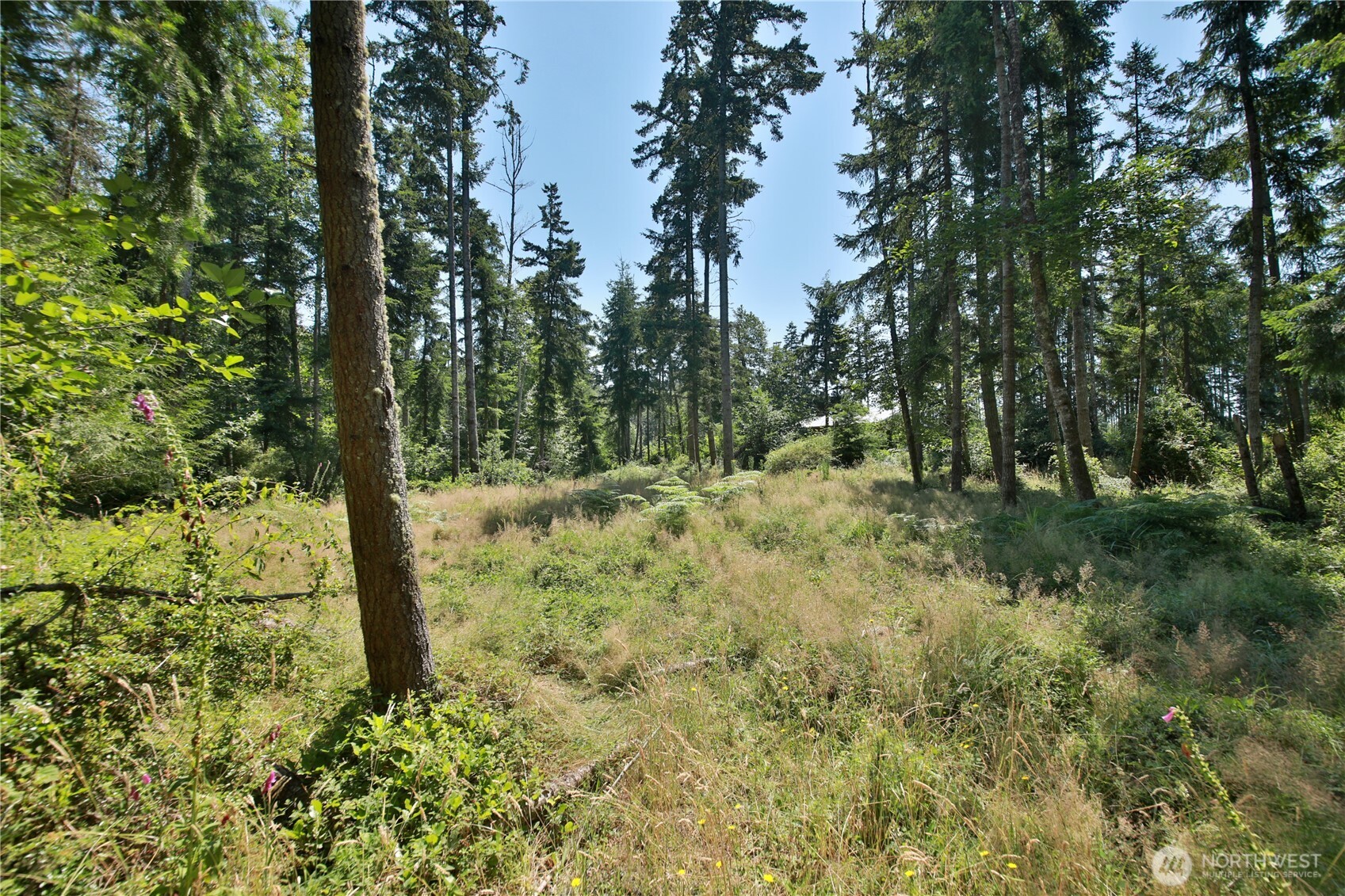 0 Lot 9 Evergreen Lane Property Photo 23