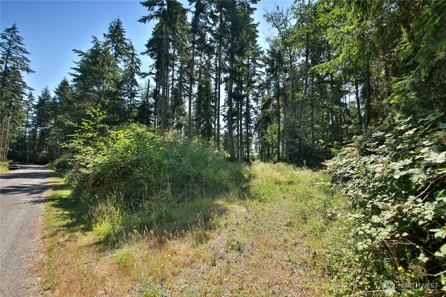 0 Lot 9 Evergreen Lane Property Photo 24