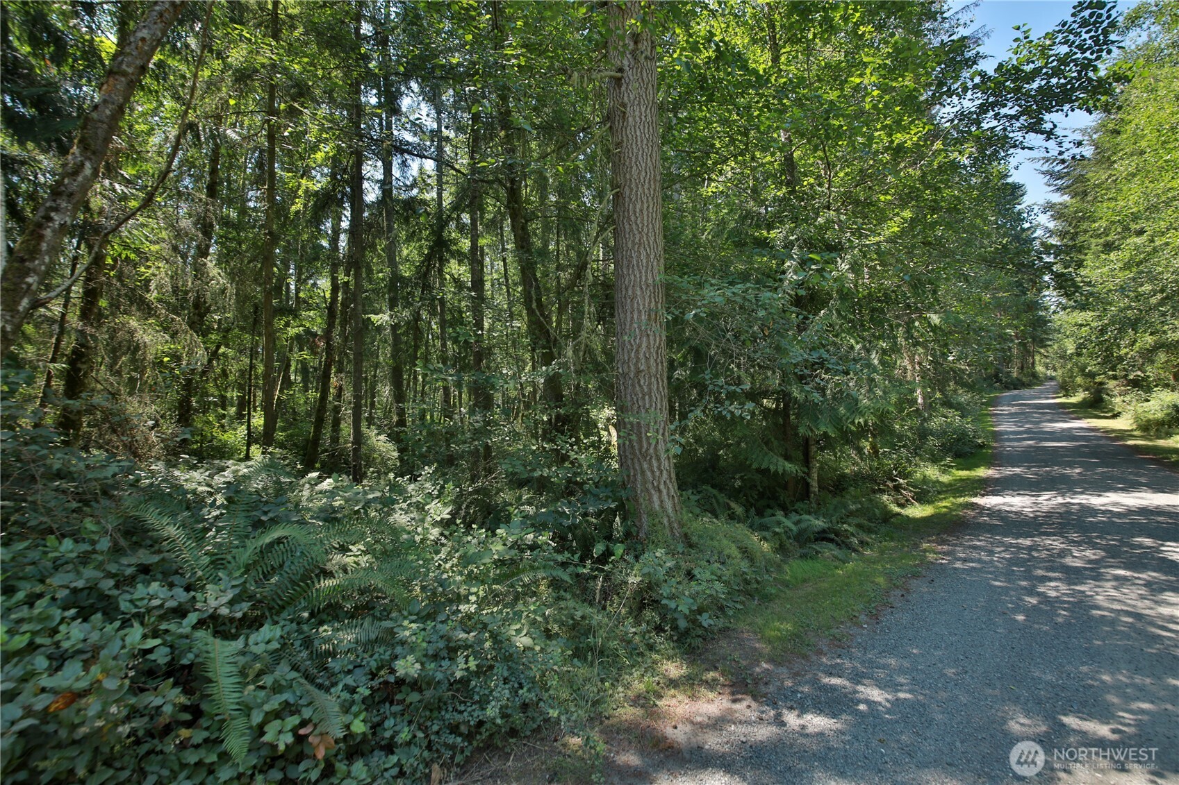 0 Lot 9 Evergreen Lane Property Photo 25
