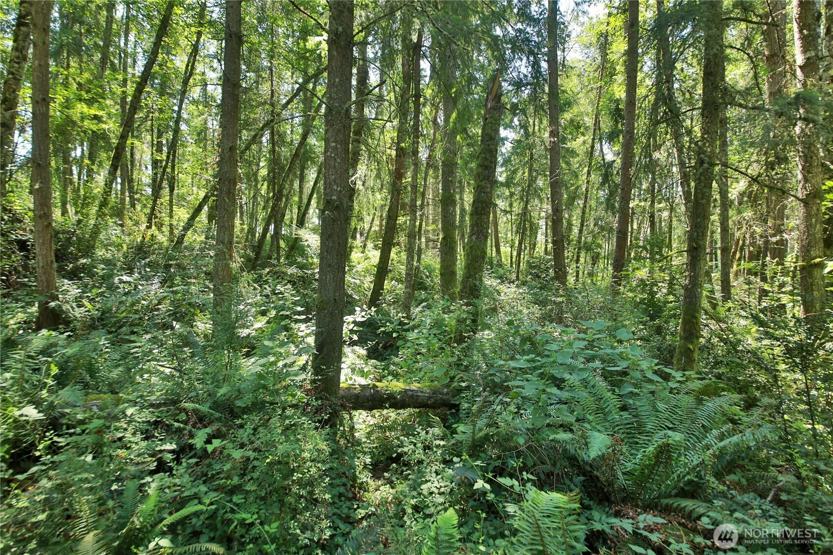 0 Lot 9 Evergreen Lane Property Photo 26