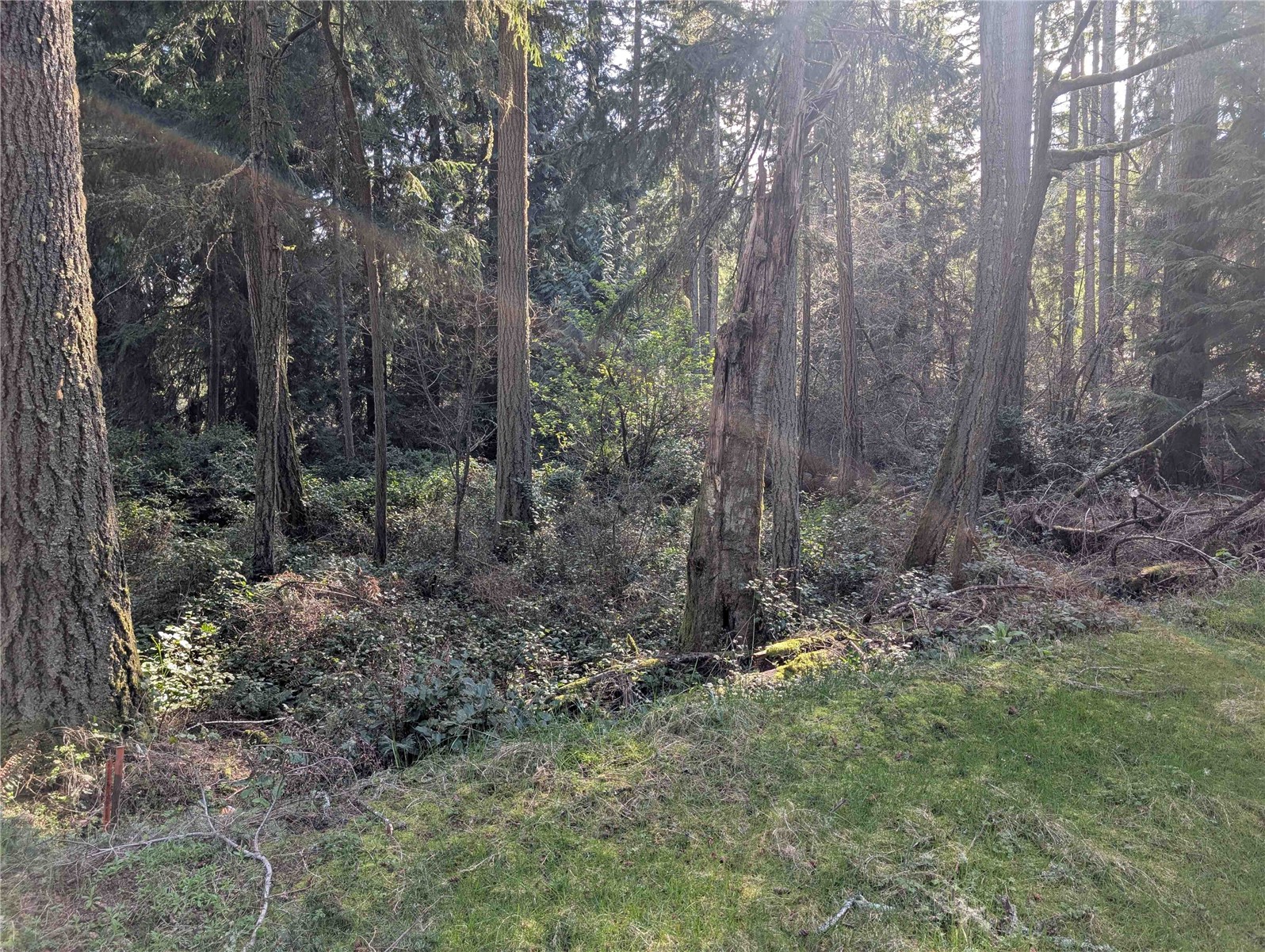 10325 Totem Way Property Photo 1