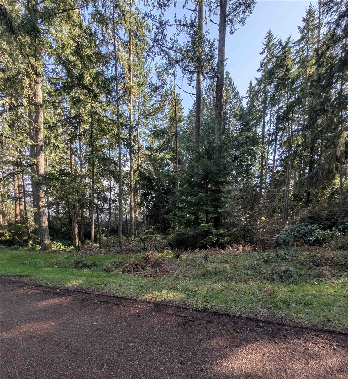 10325 Totem Way Property Photo 2