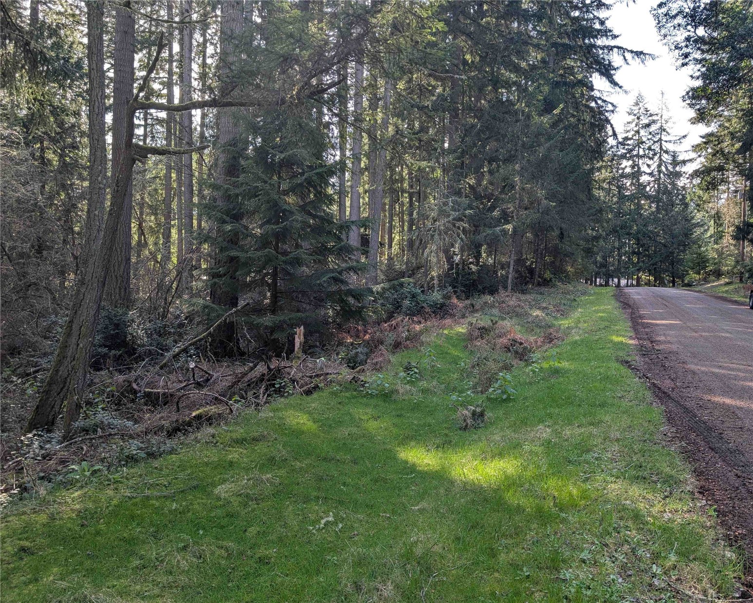 10325 Totem Way Property Photo 3