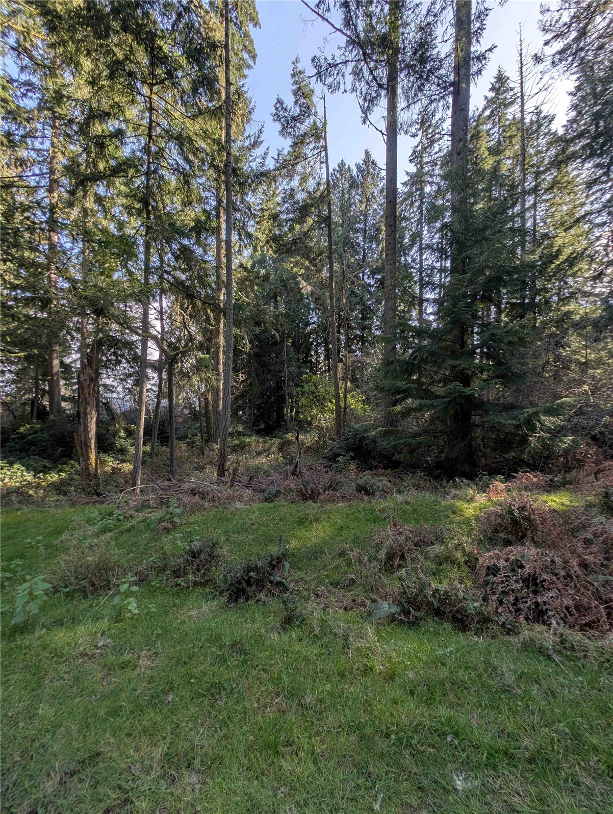 10325 Totem Way Property Photo 4