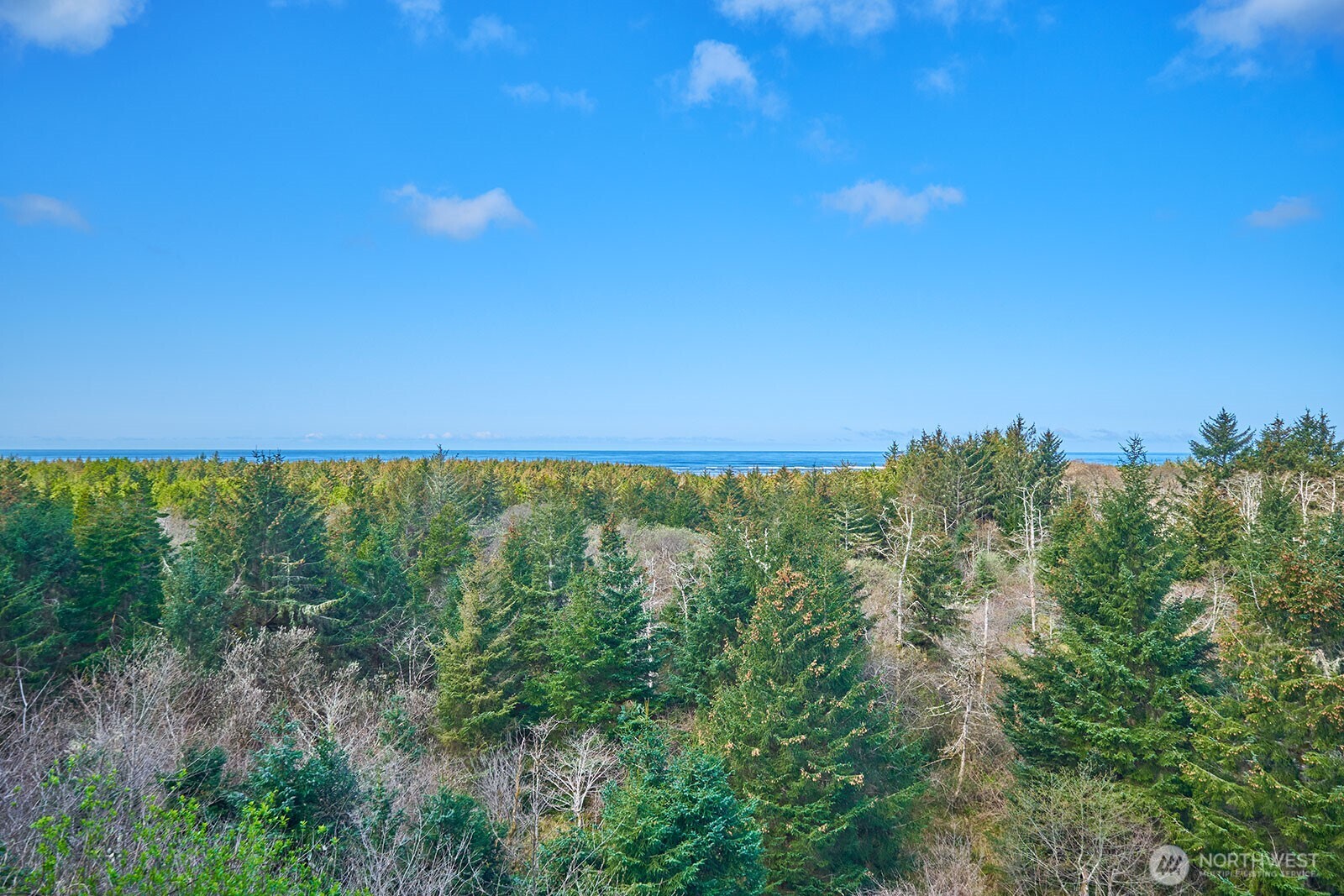 2815 Willows Road 229 Property Photo 8