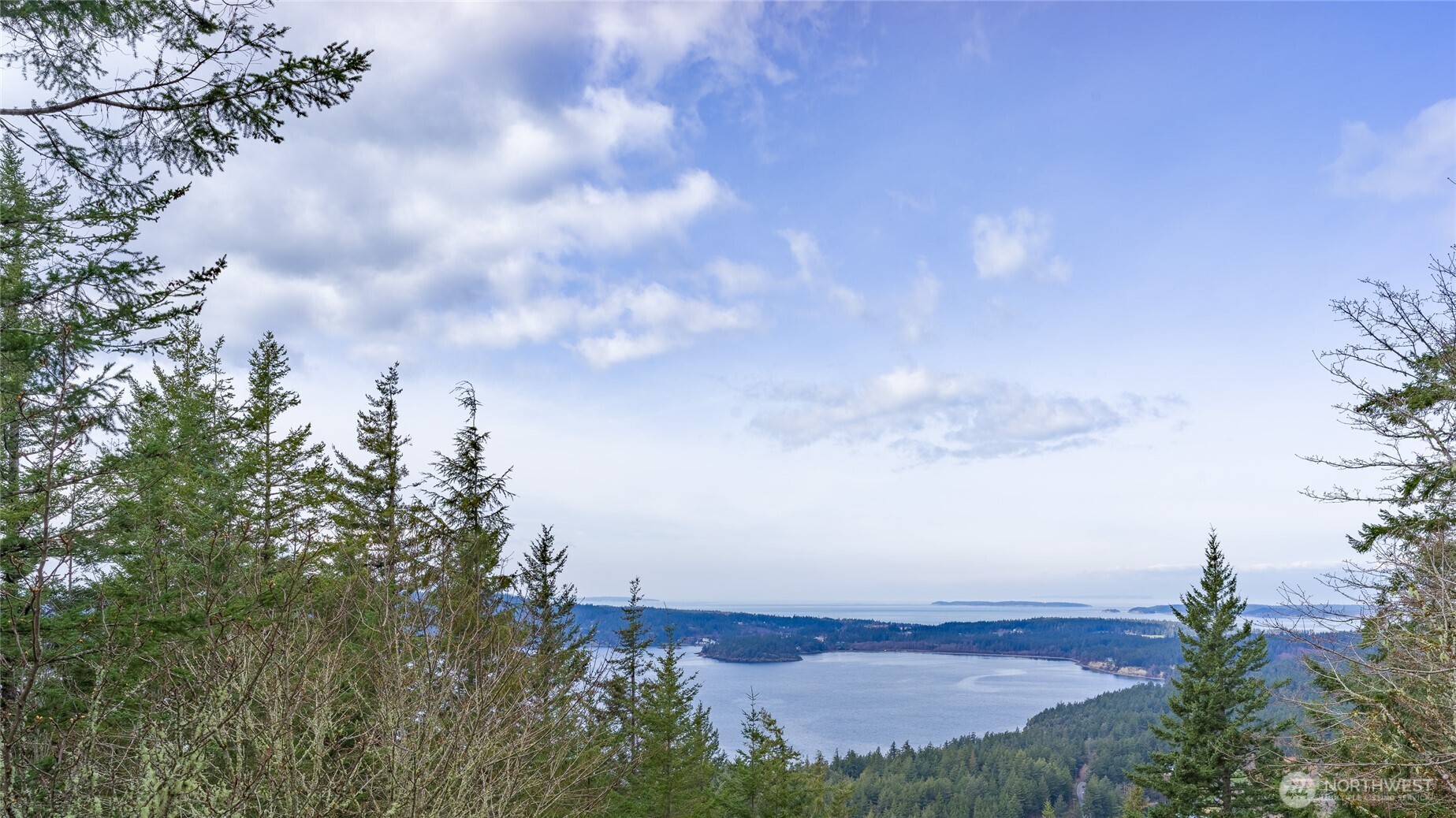 250 Switchback Road Property Photo 8