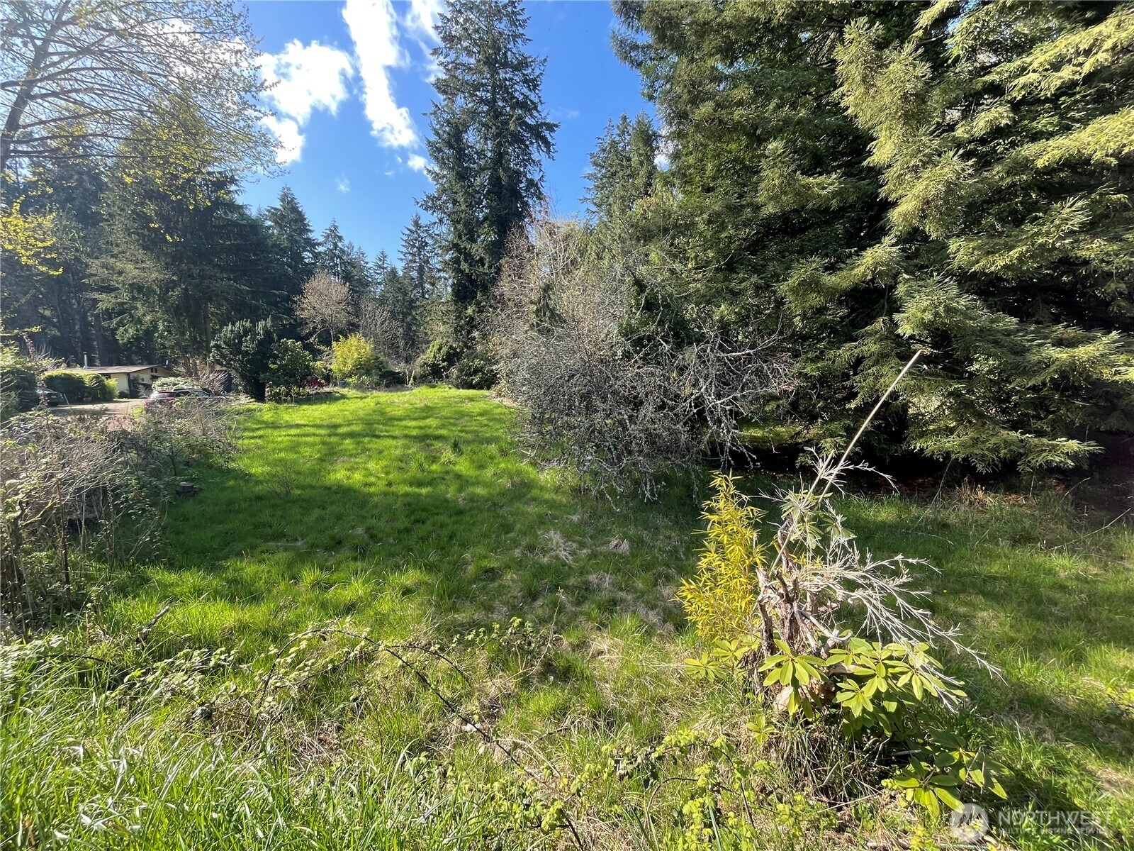 24715 Vashon Highway Property Photo 5