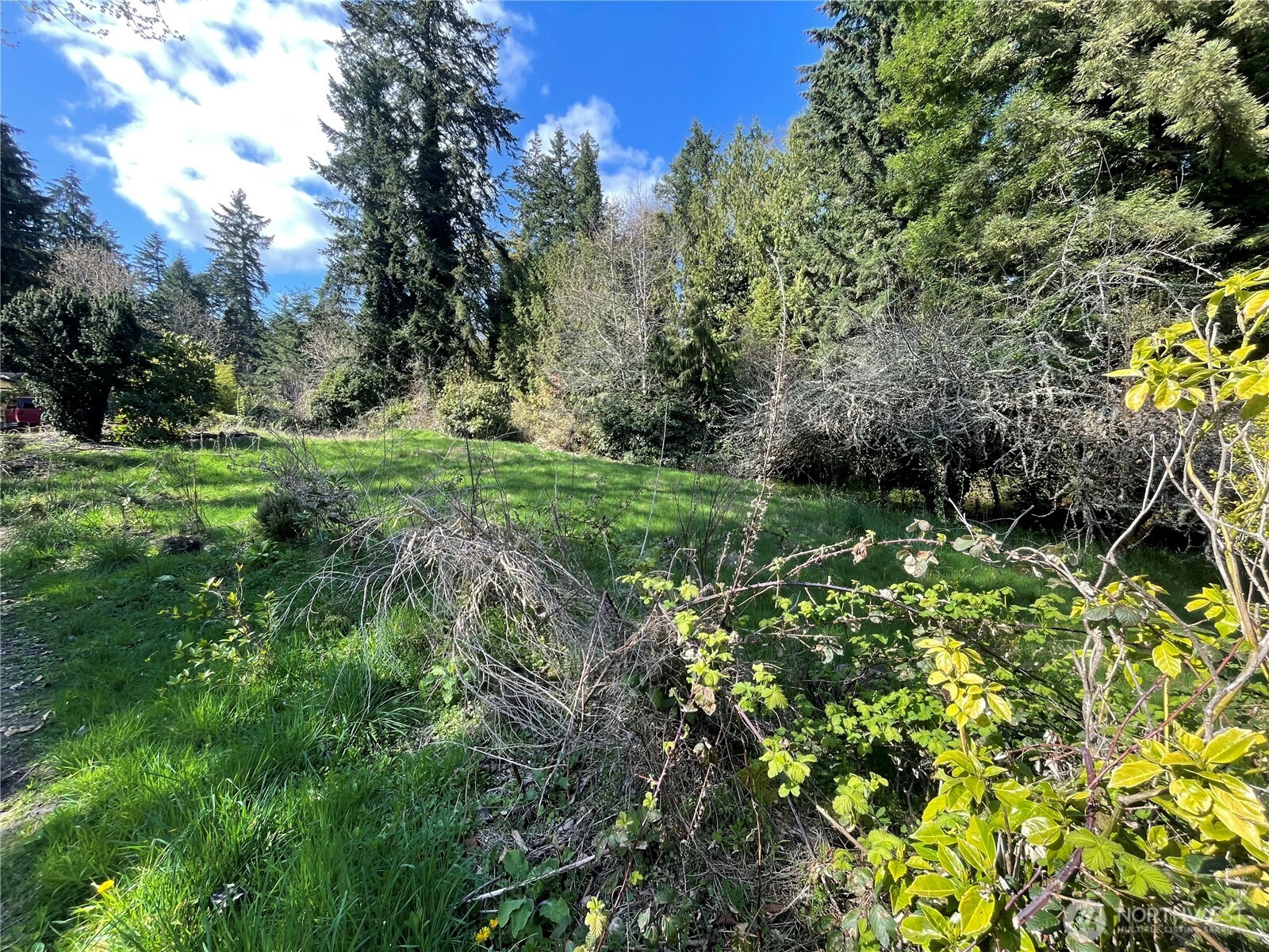 24715 Vashon Highway Property Photo 6