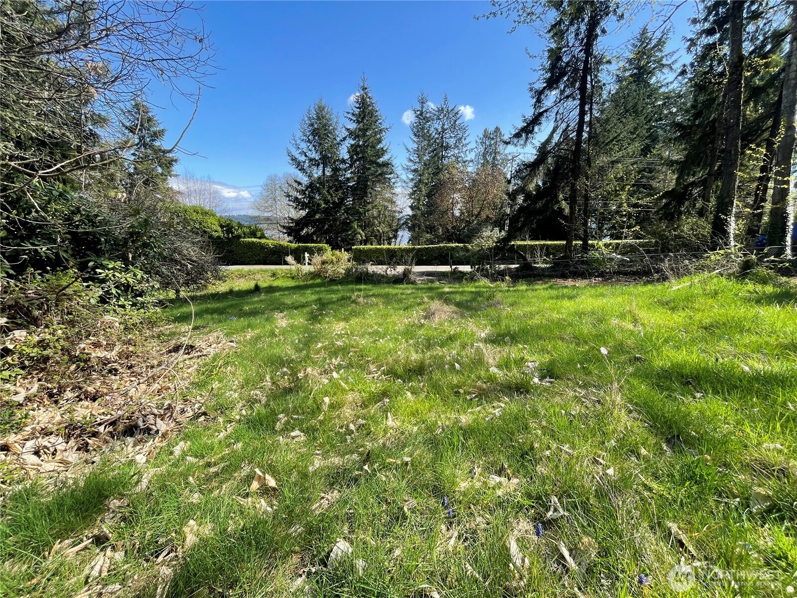 24715 Vashon Highway Property Photo 9