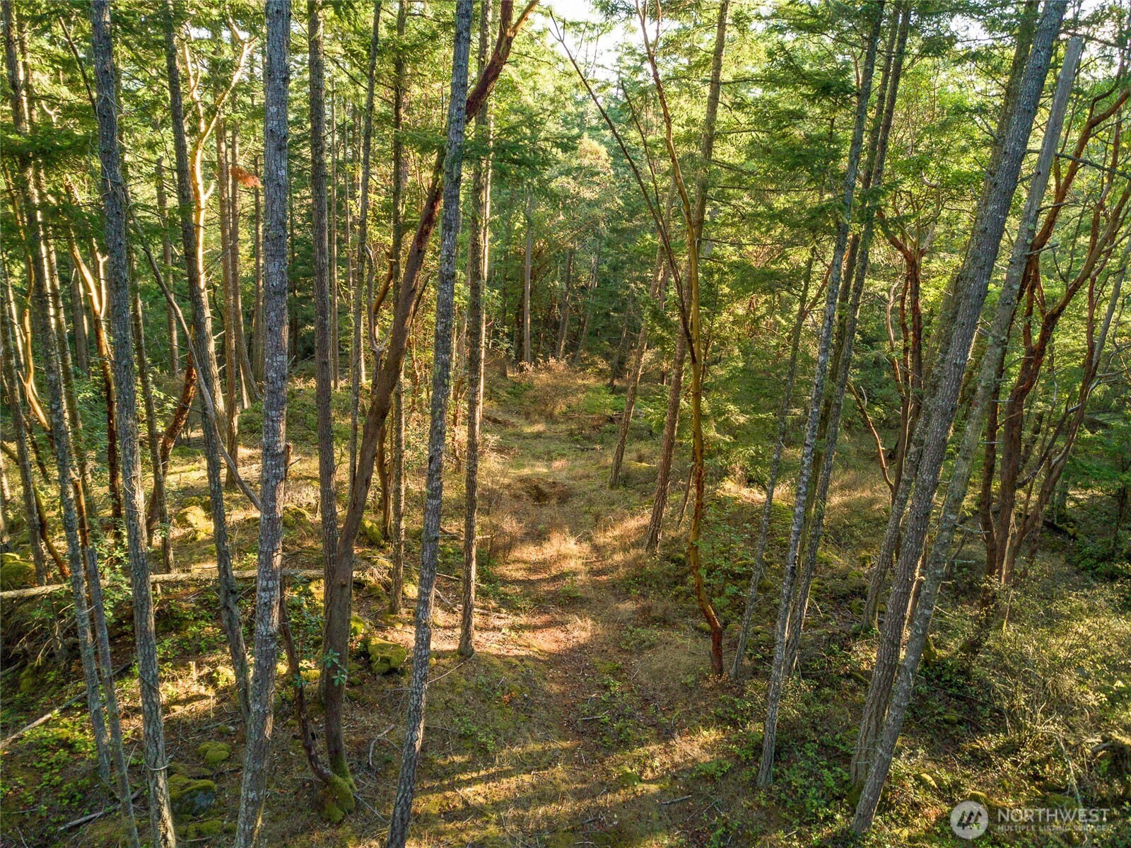 0 Hyak Lane Property Photo 3
