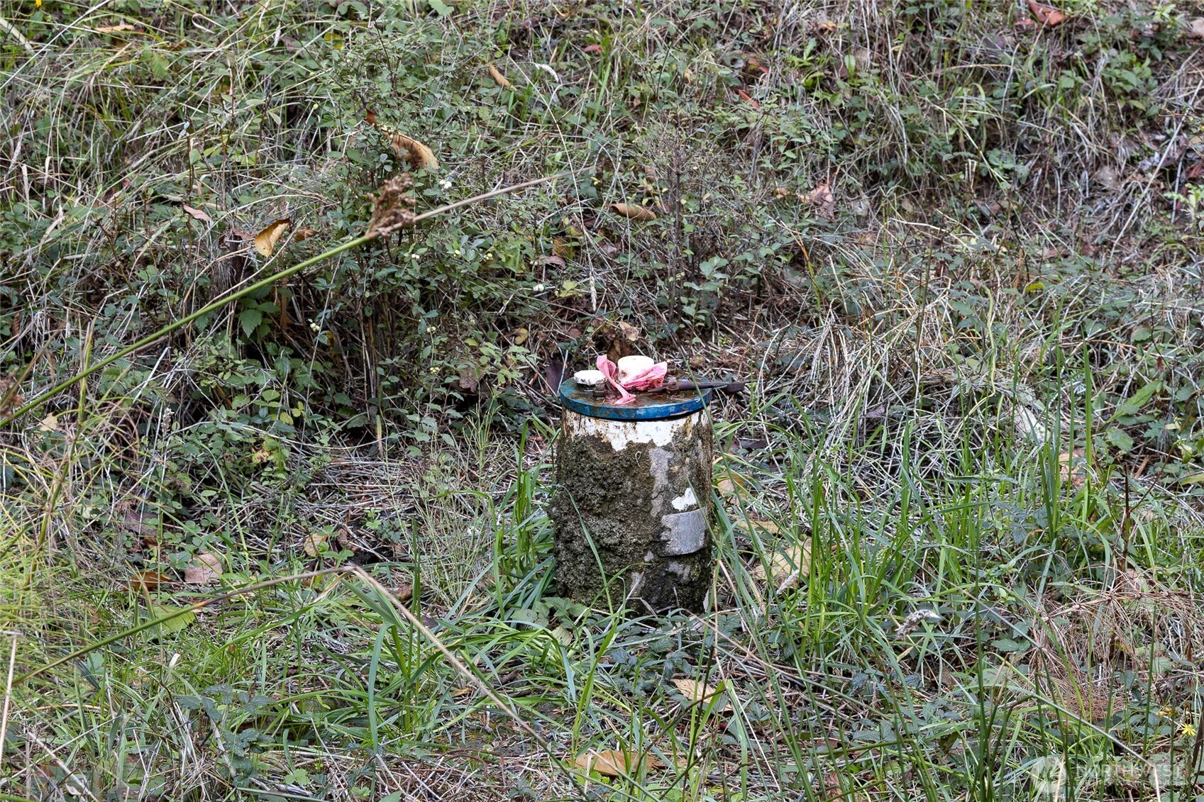 0 Hyak Lane Property Photo 4