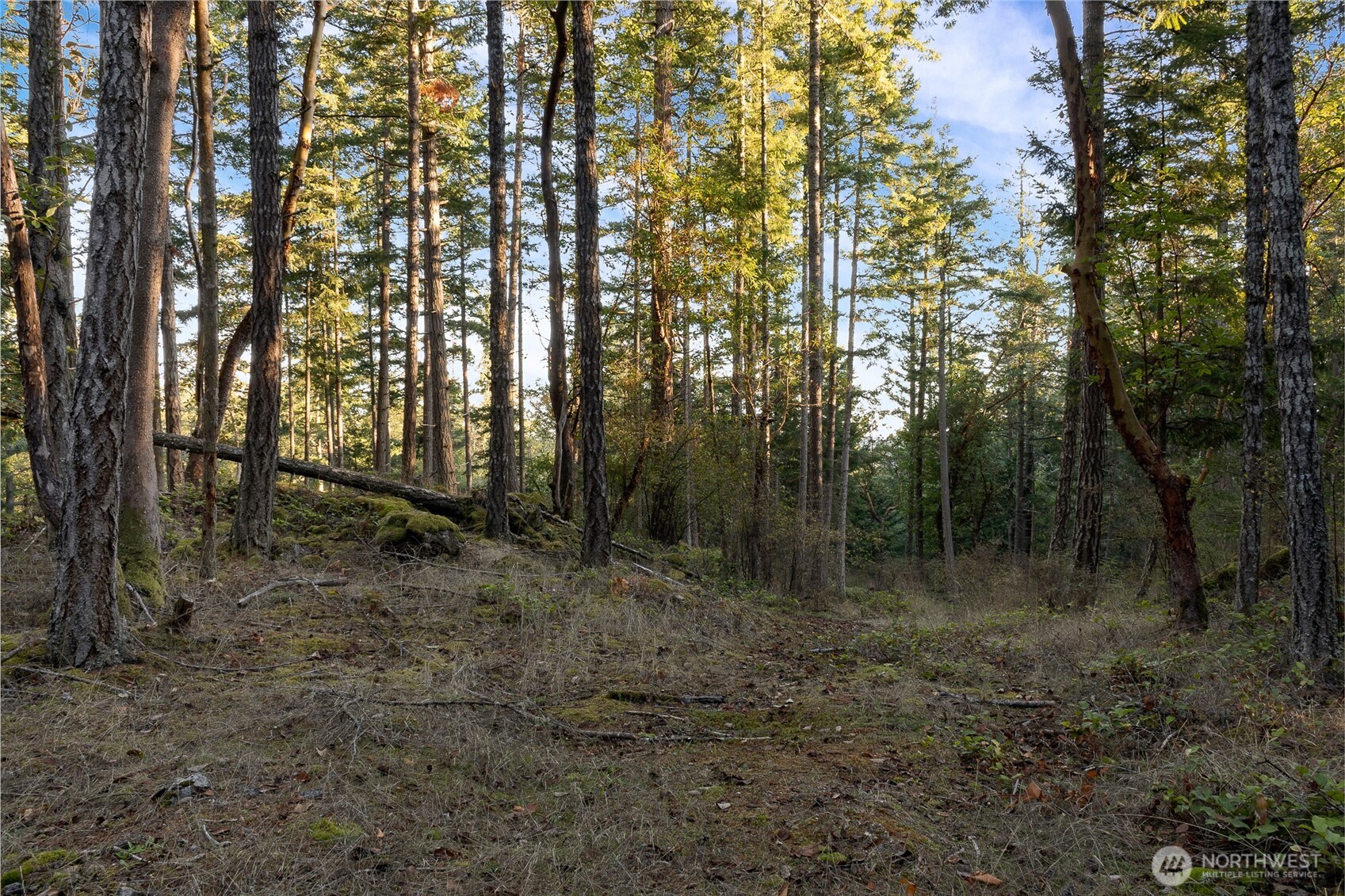 0 Hyak Lane Property Photo 6