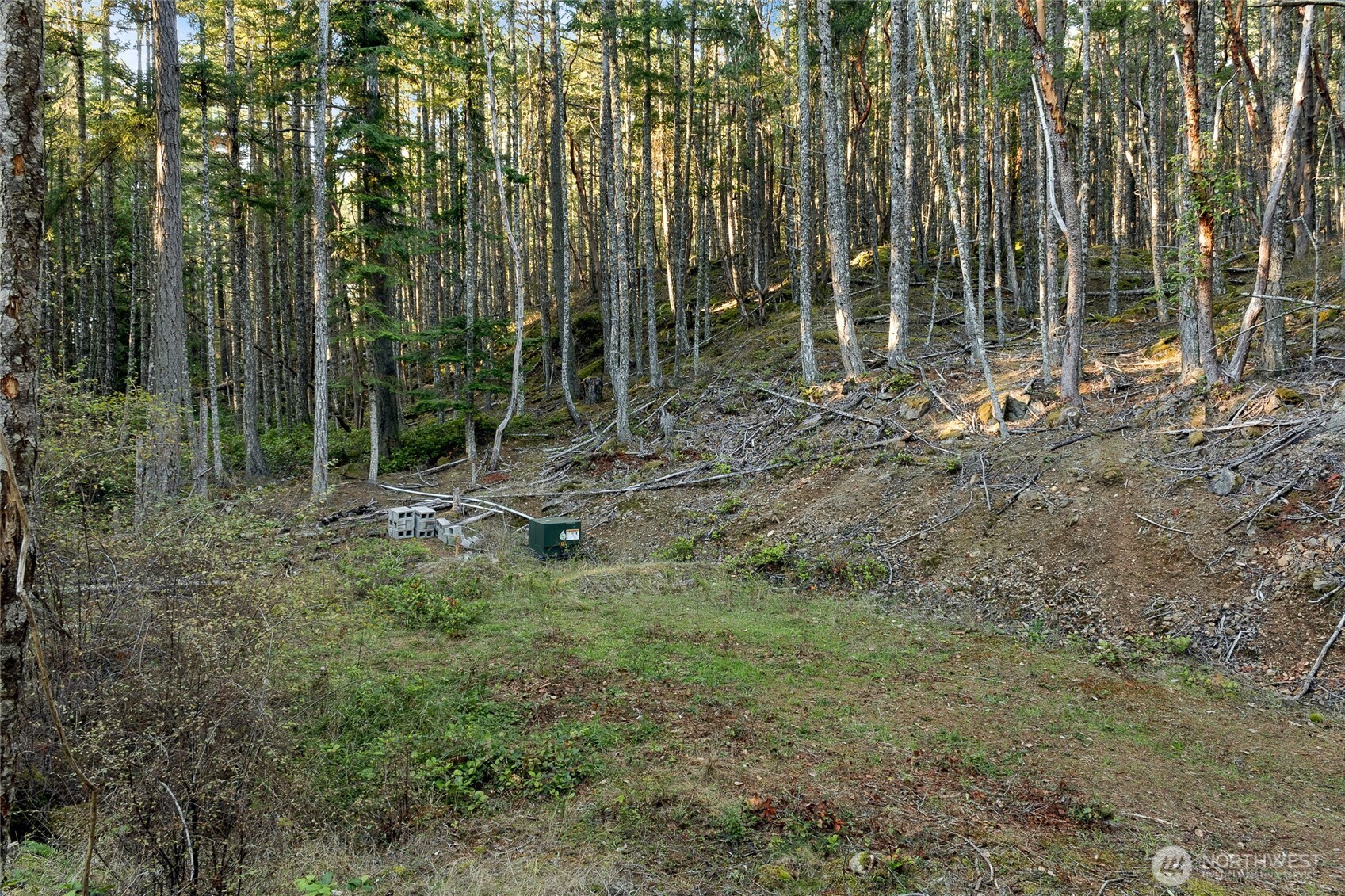 0 Hyak Lane Property Photo 7