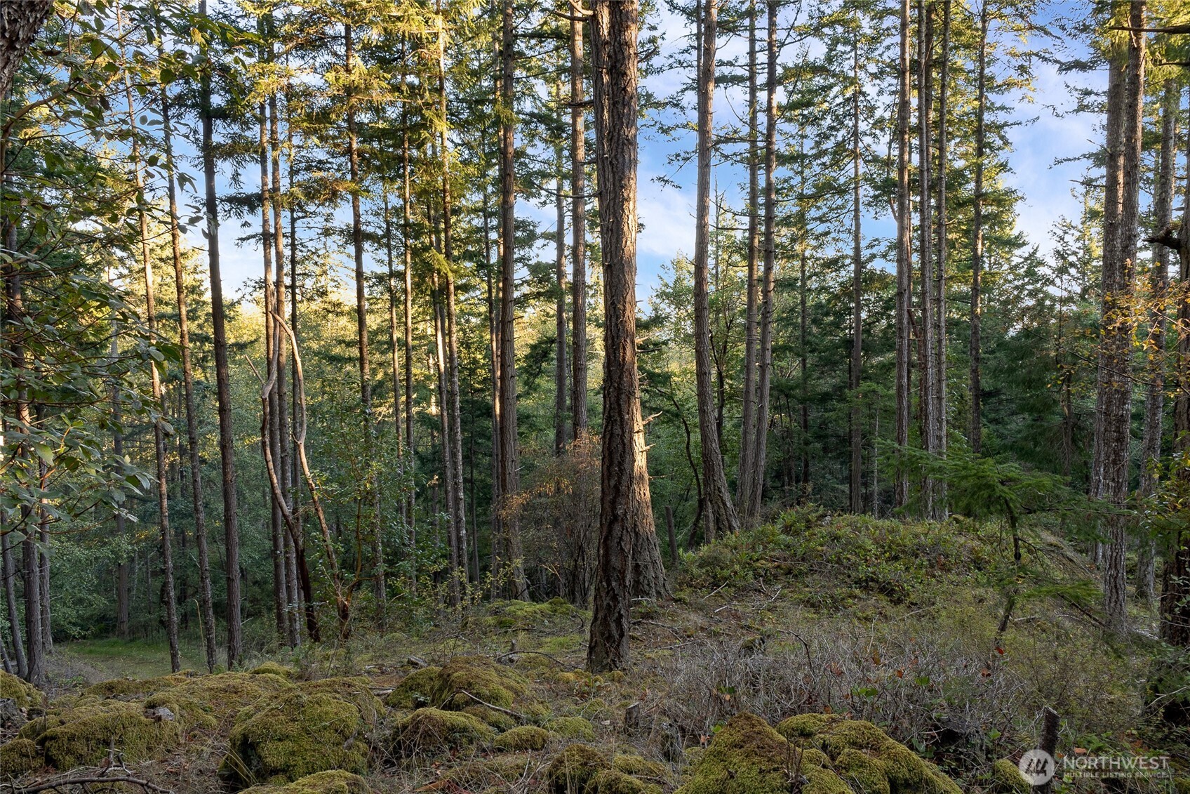 0 Hyak Lane Property Photo 8