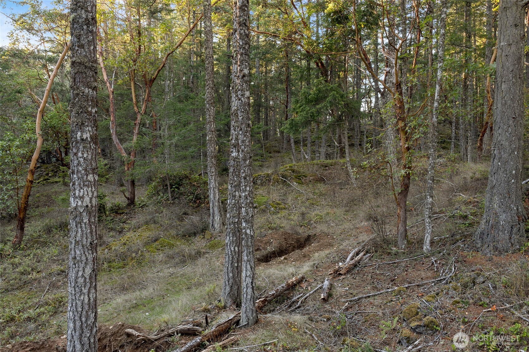 0 Hyak Lane Property Photo 9