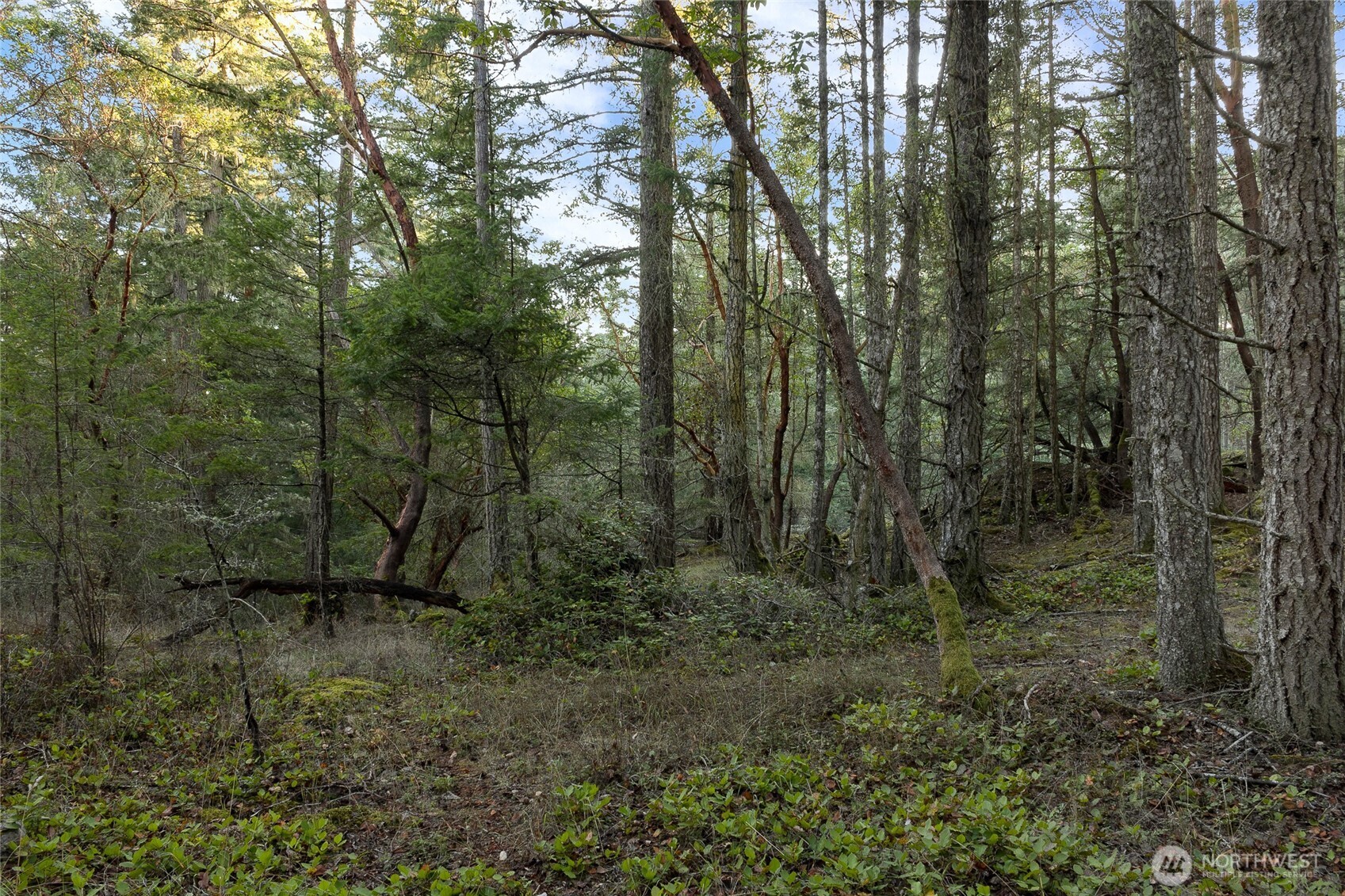 0 Hyak Lane Property Photo 10