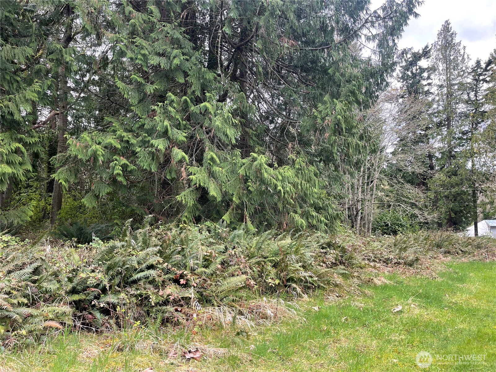 999 Old Ferry Road Property Photo 5