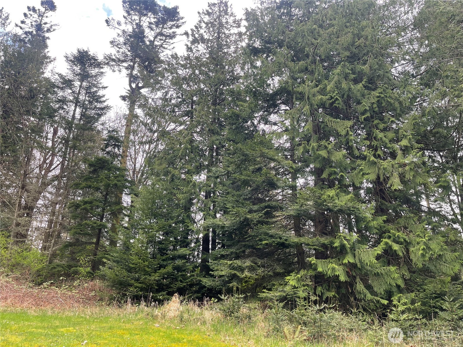 999 Old Ferry Road Property Photo 6