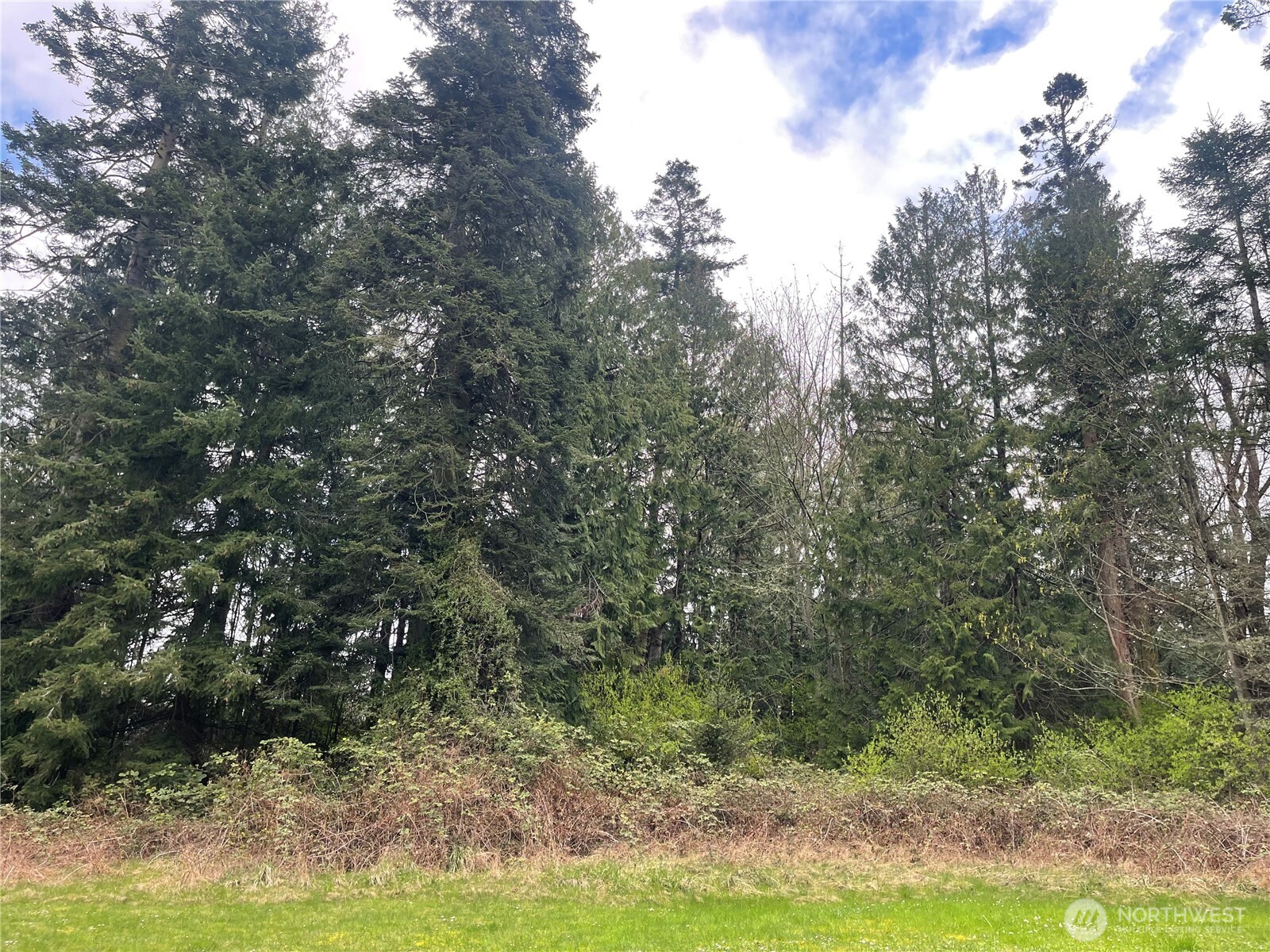 999 Old Ferry Road Property Photo 7