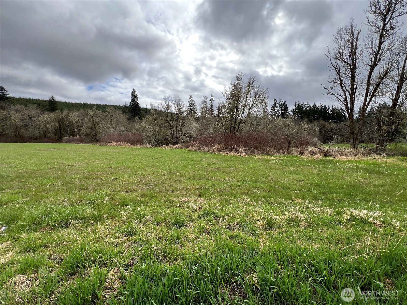 0 Bunker Hill Road Property Photo 6