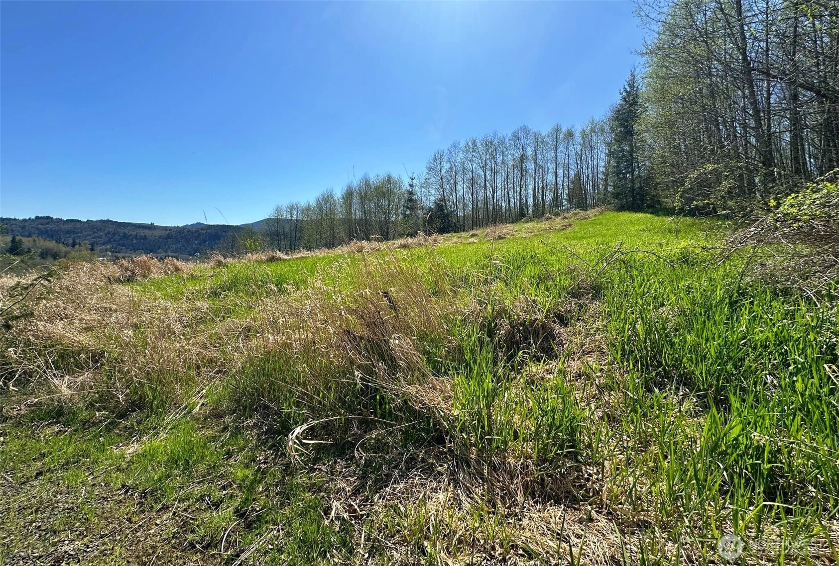 0 Elk Ridge Road Property Photo 9