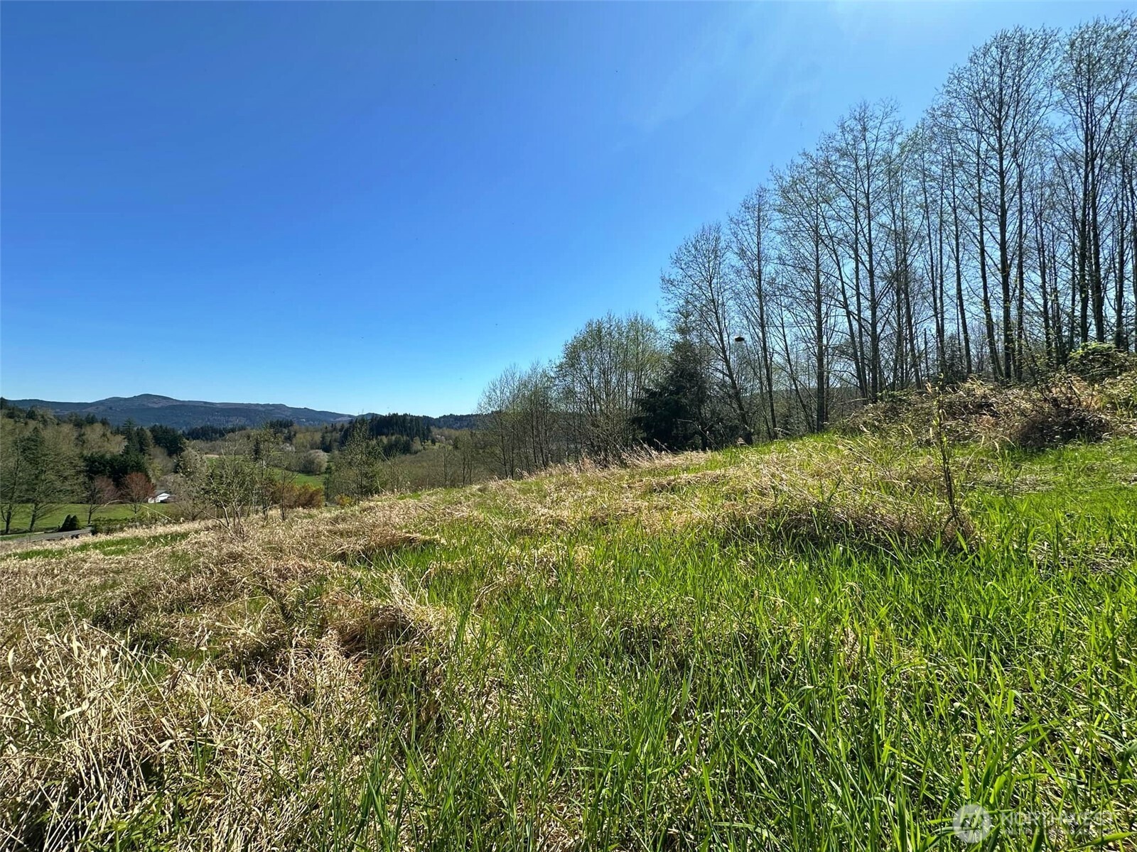 0 Elk Ridge Road Property Photo 10