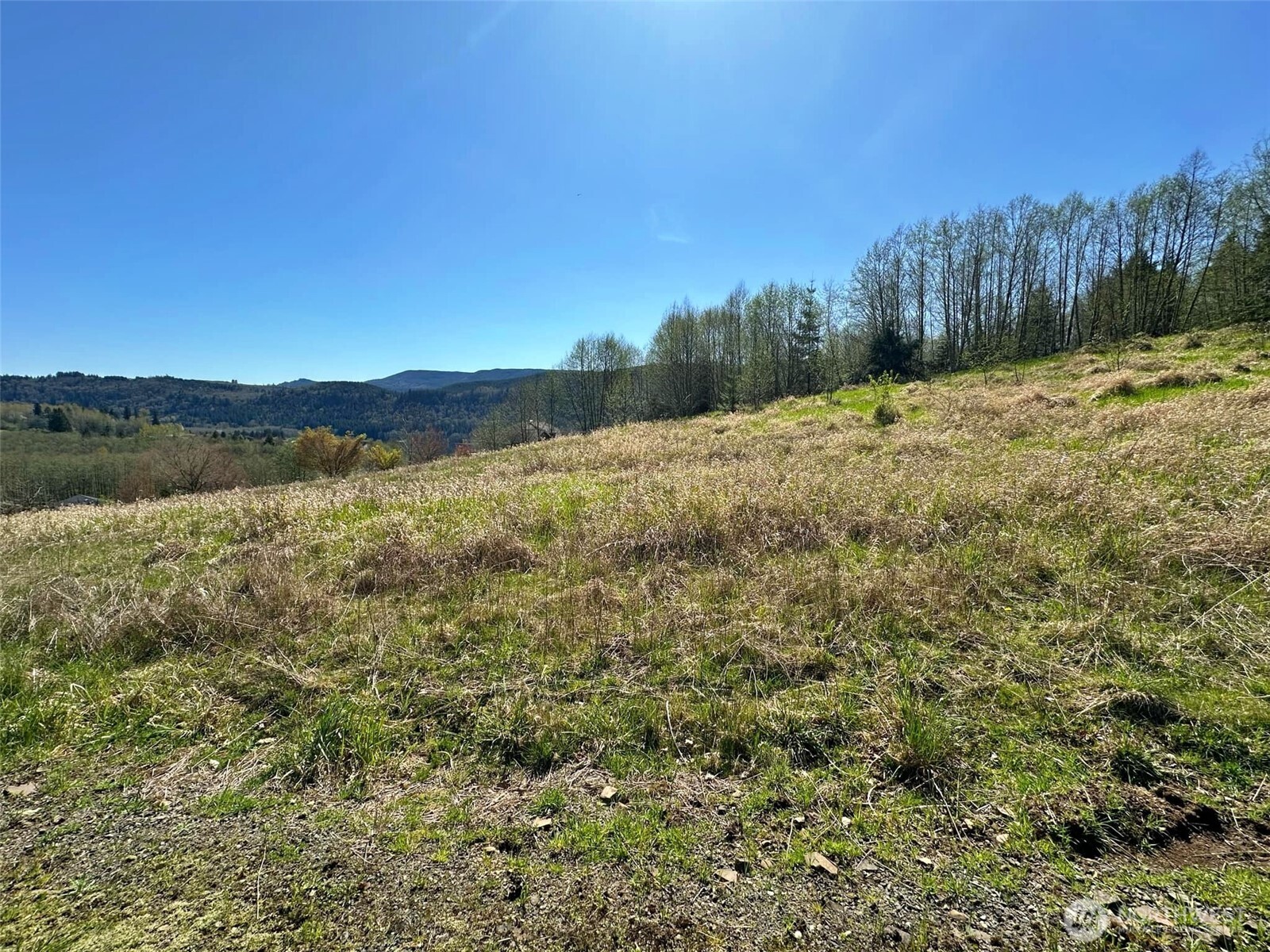 0 Elk Ridge Road Property Photo 11