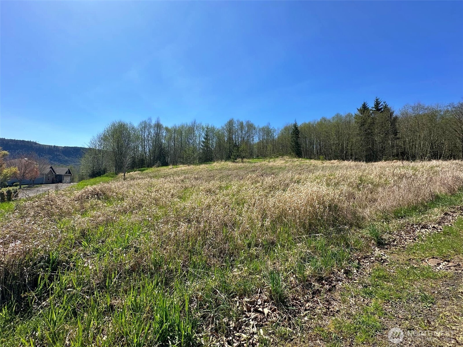 0 Elk Ridge Road Property Photo 12