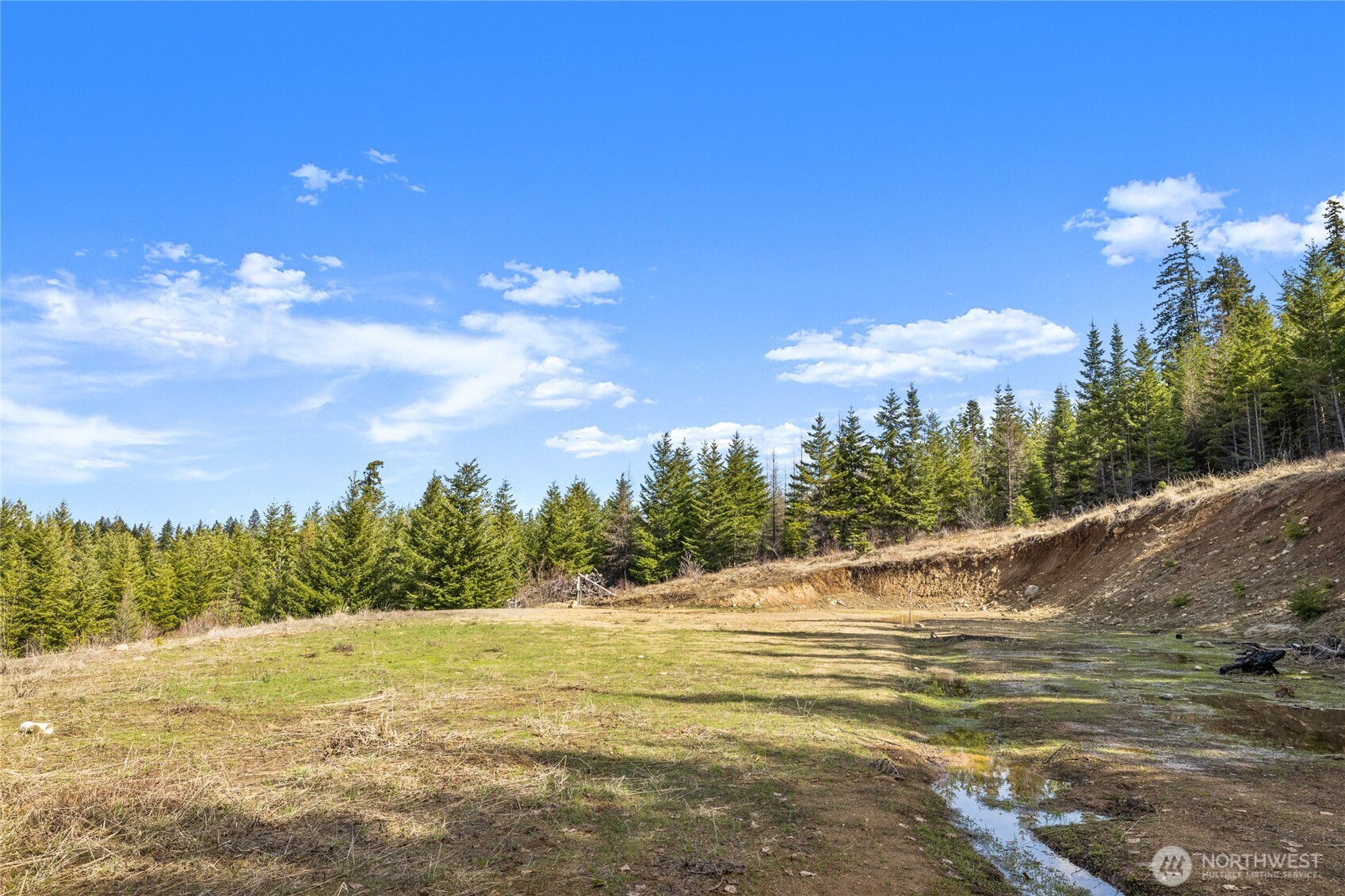 1220 Stone Ridge Drive Property Photo 9