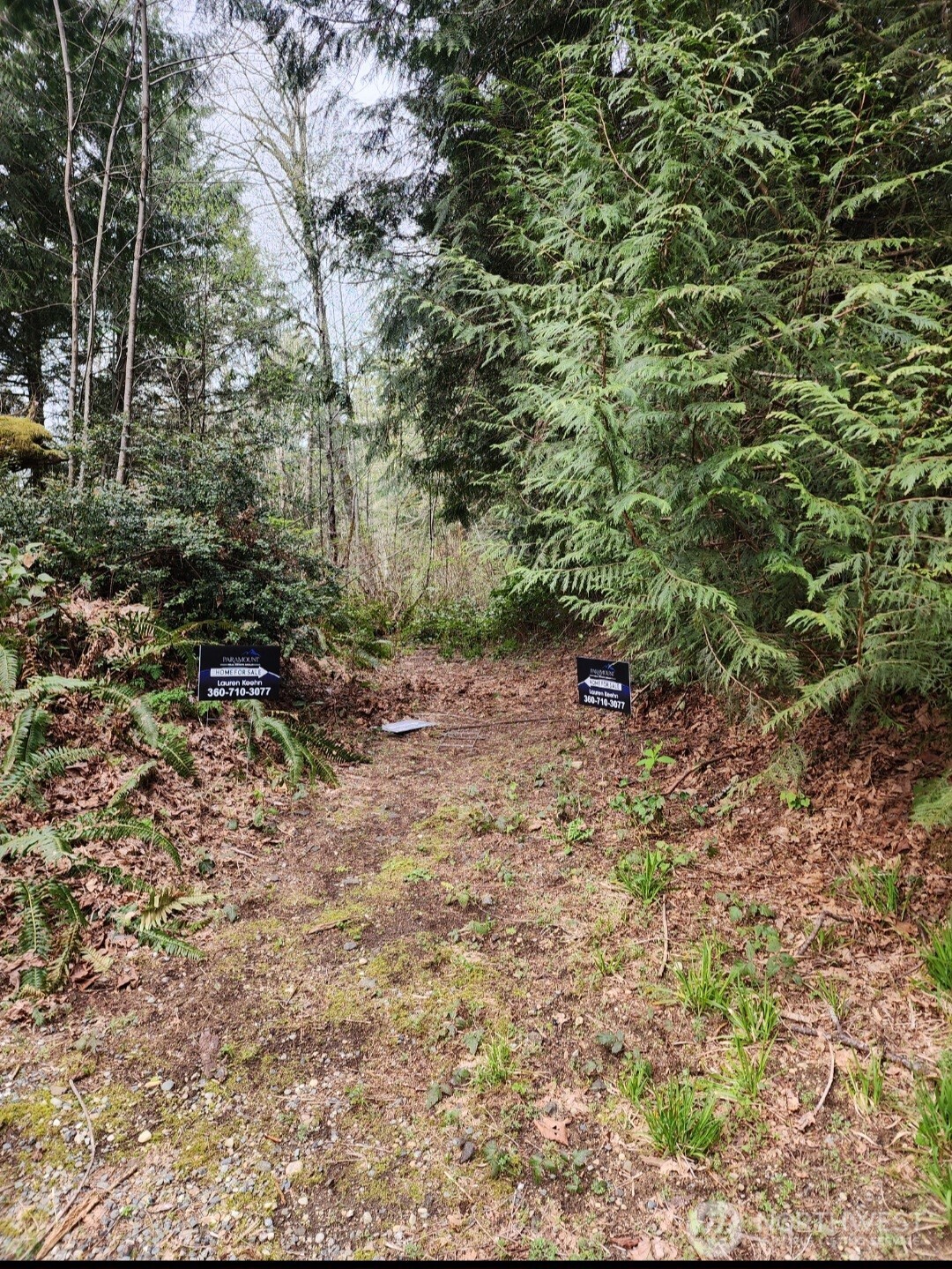 0 Shady Glen Avenue Property Photo 1