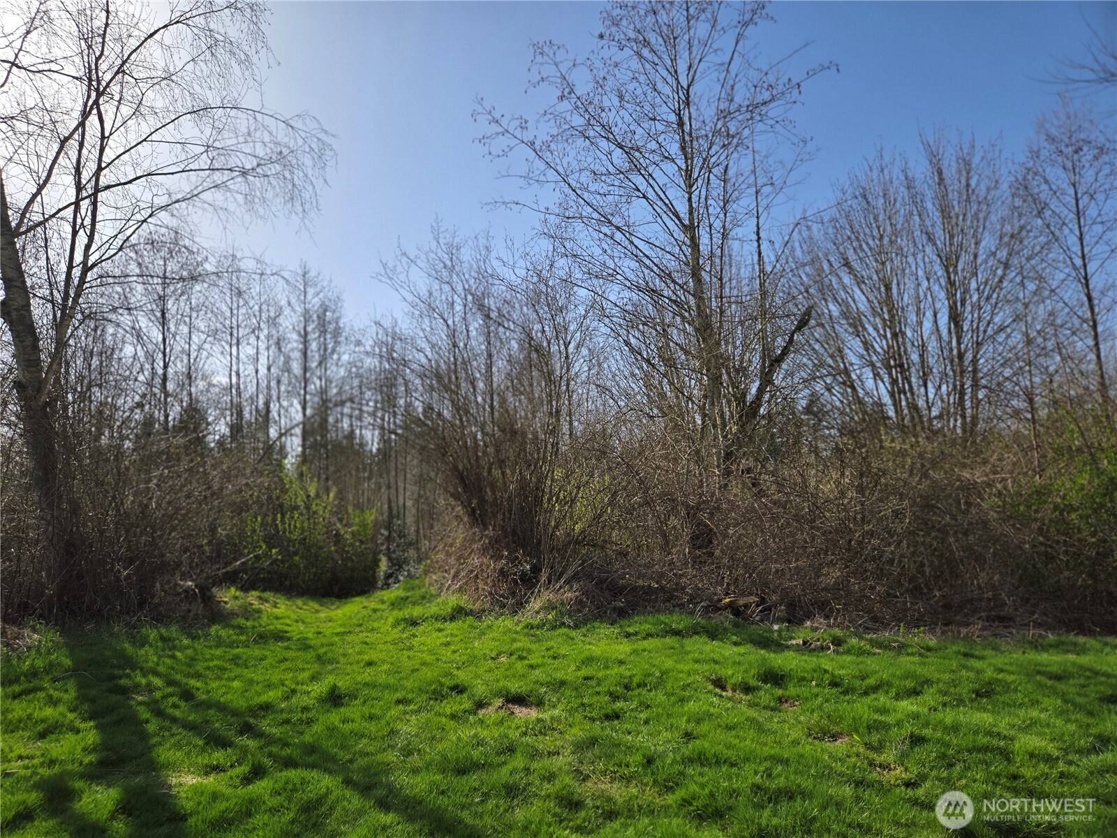 2274 Burk Road Property Photo 10