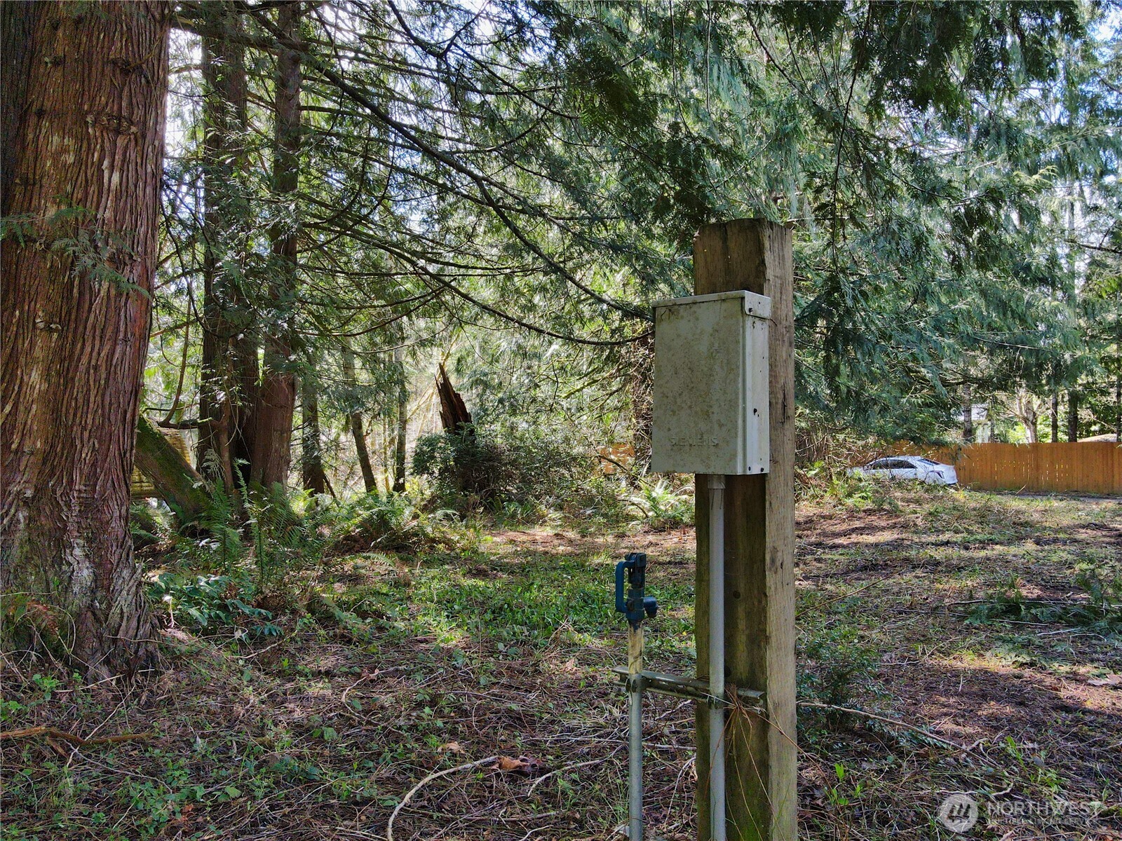 91 E Cove Crest Lane Property Photo 6