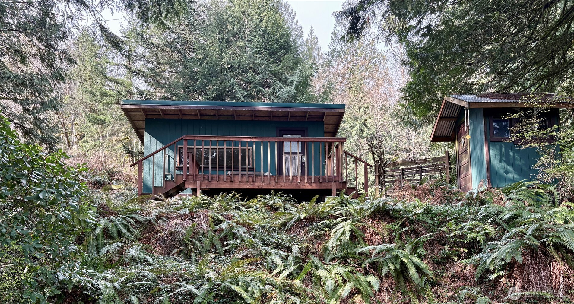 5960 Bell Creek Logging Road Property Photo 5