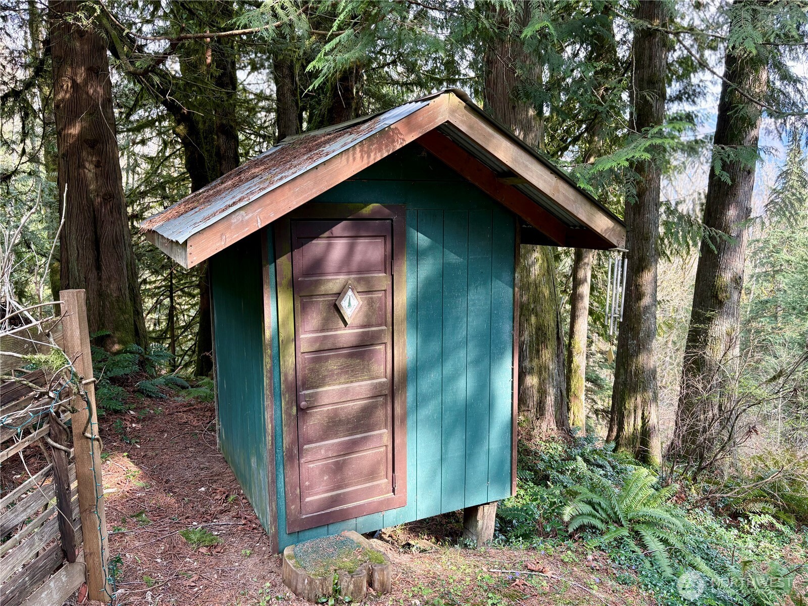 5960 Bell Creek Logging Road Property Photo 11