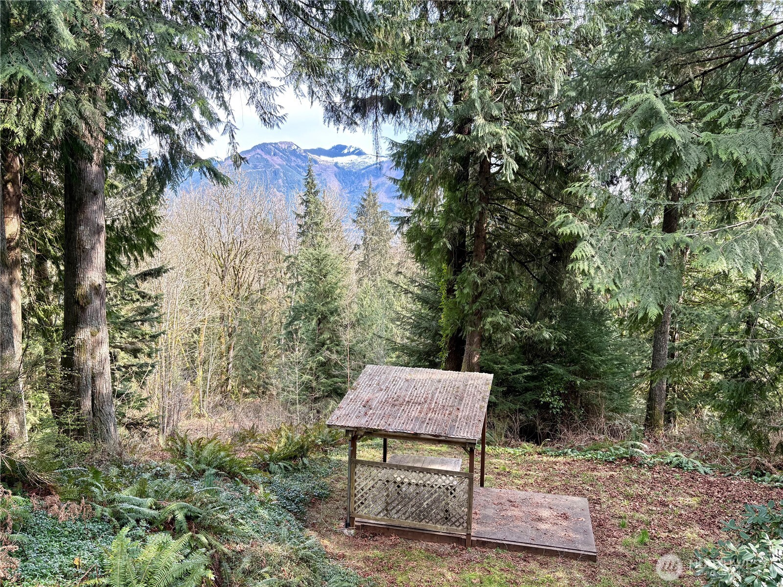 5960 Bell Creek Logging Road Property Photo 12