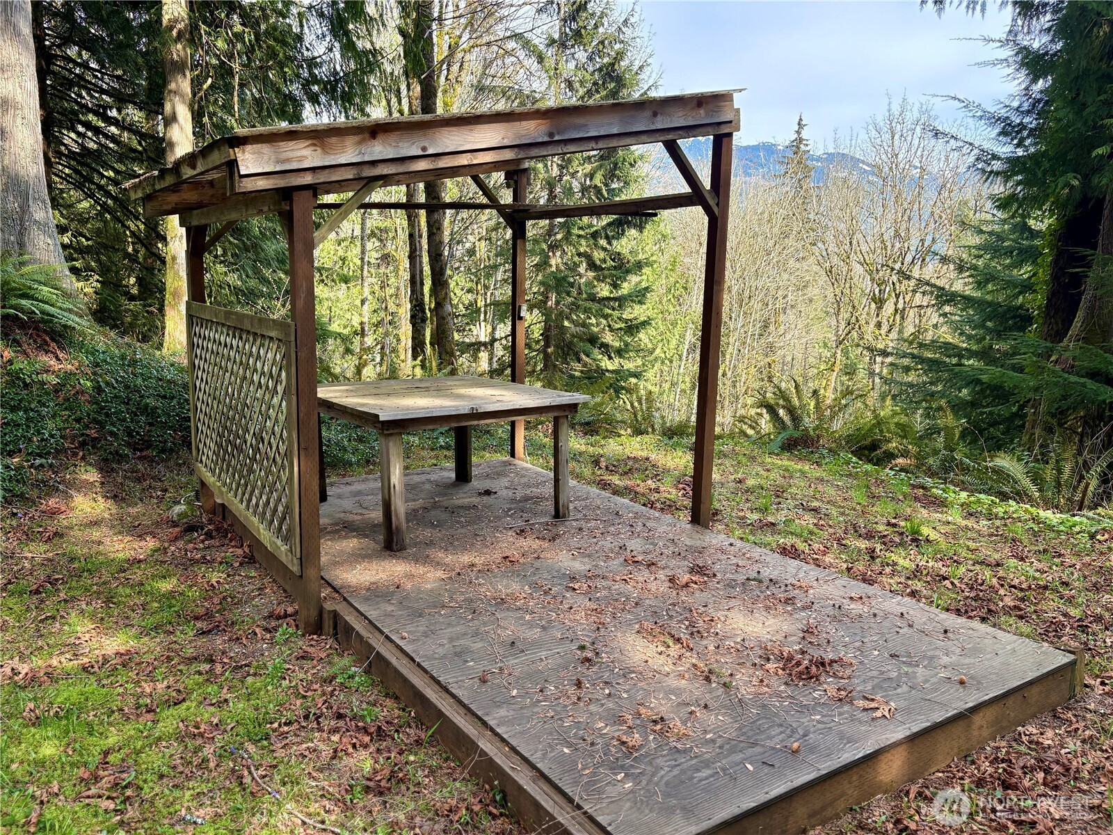 5960 Bell Creek Logging Road Property Photo 13