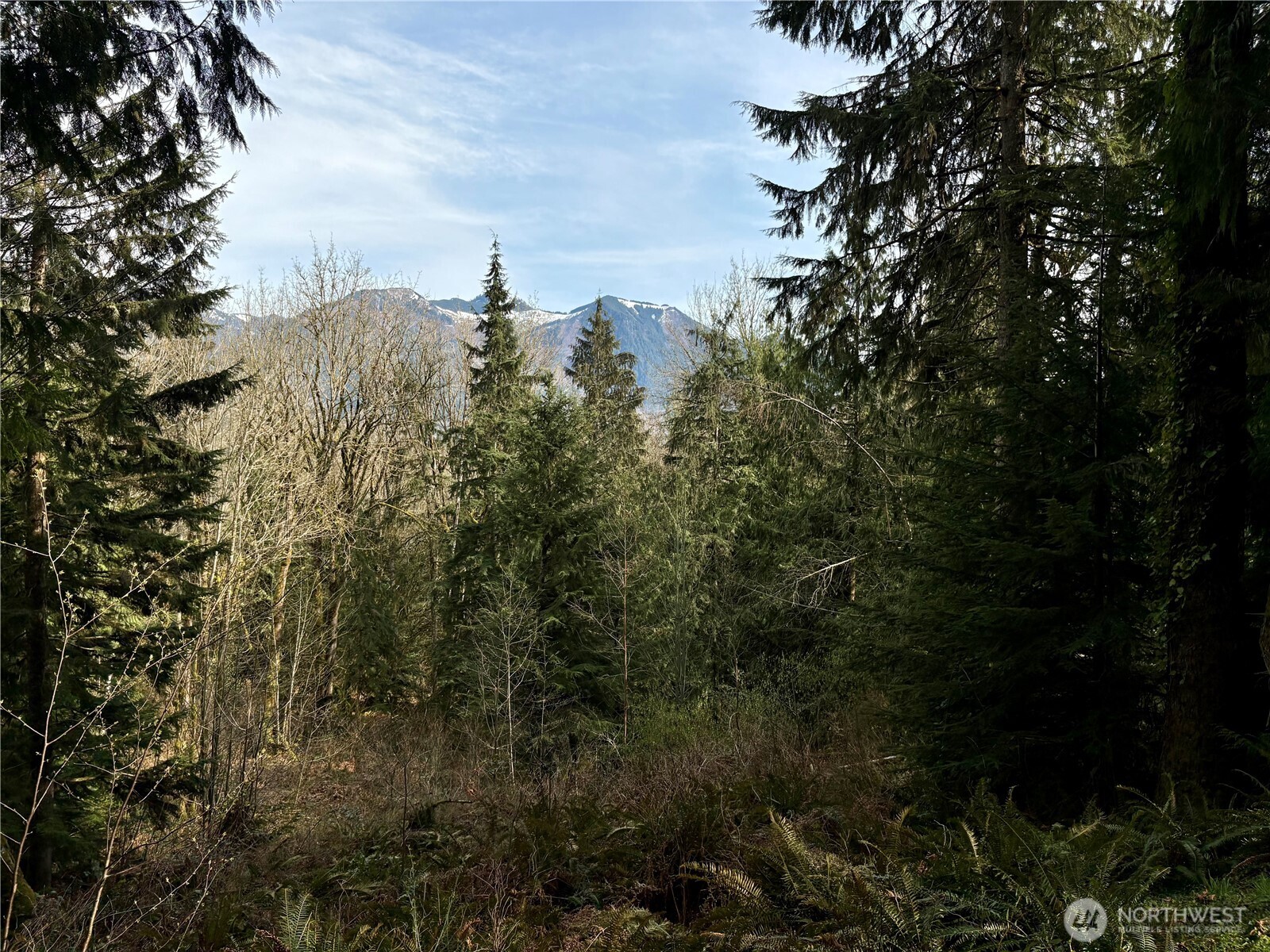 5960 Bell Creek Logging Road Property Photo 16