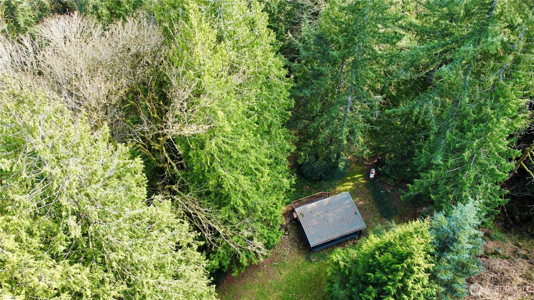 5960 Bell Creek Logging Road Property Photo 17